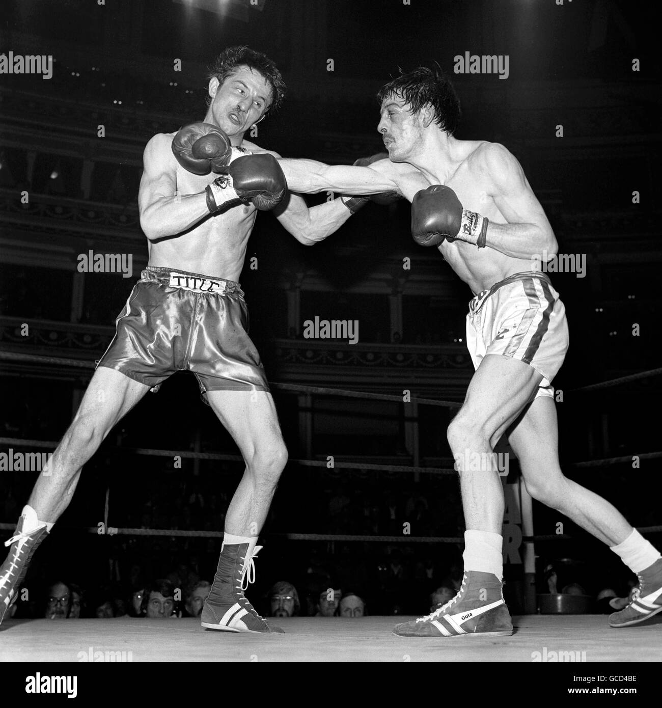 - BBBofC boxe poids plume britannique Titre - Pat Cowdell v Jimmy Flint - Royal Albert Hall, Londres Banque D'Images