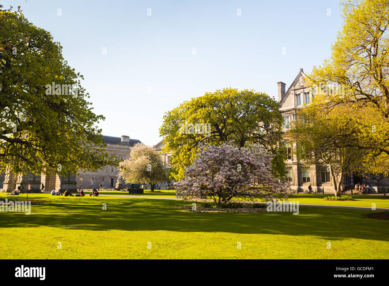 Les motifs du Trinity College, Dublin, Irlande Banque D'Images