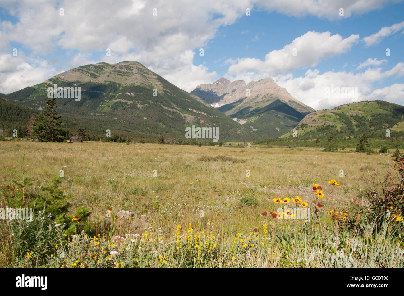 Où les montagnes rencontrent les prairies. Banque D'Images