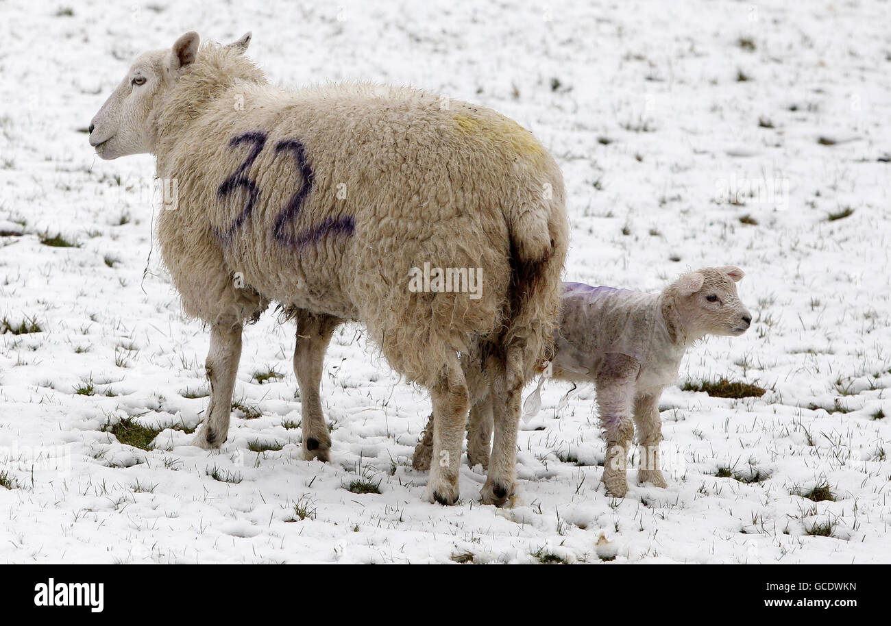 Temps de printemps décembre Mars Banque D'Images