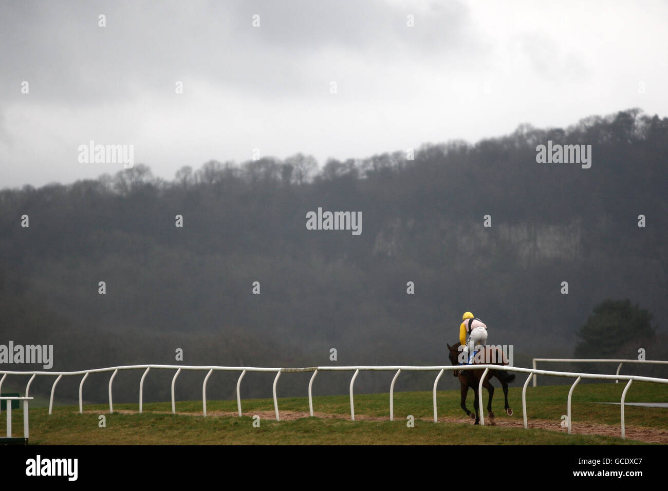 Indiana Gold monté par Andrew Thornton va poster pour L'amélioration commerciale PP soutient Paul's place handicap Chase Banque D'Images