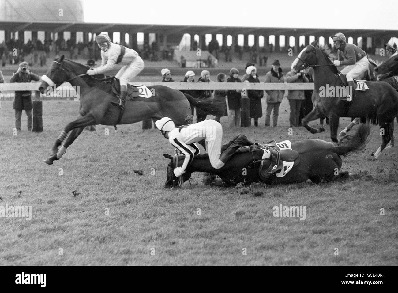 Horse Racing - Obstacle Challow - ancienne année Réunion - Newbury Banque D'Images