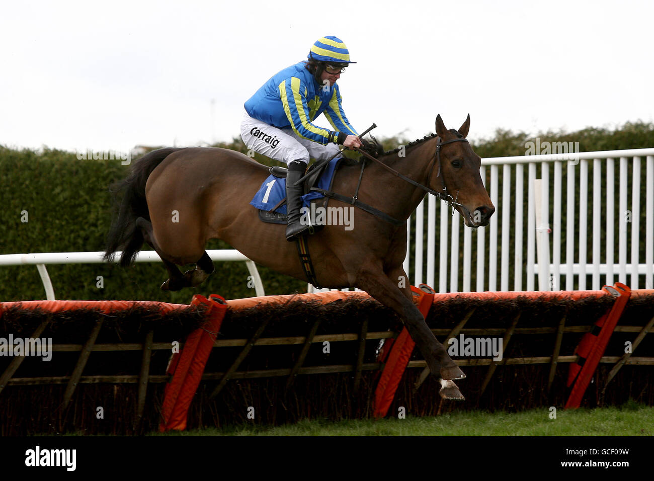 Courses hippiques - Hippodrome de Hereford. Oscar Gogo, monté Christian Williams Banque D'Images