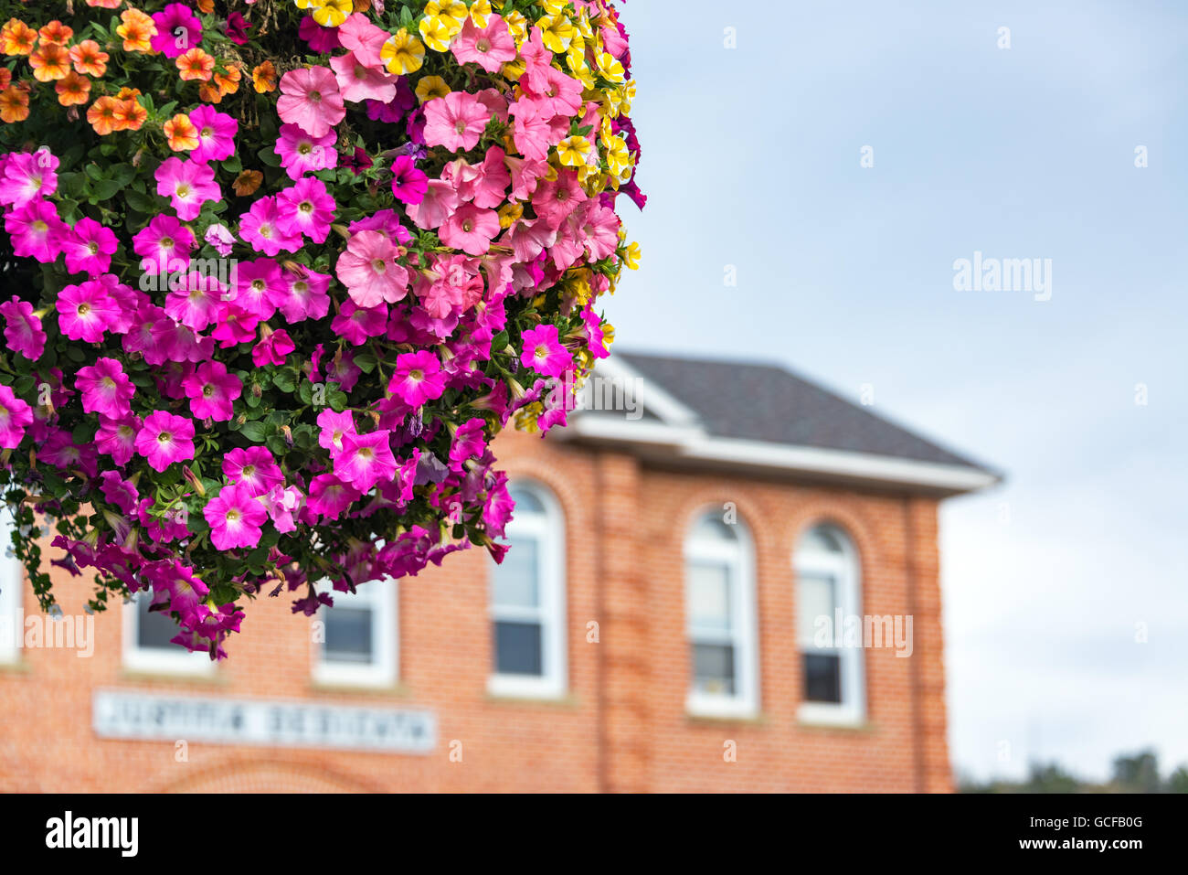 Fleurs colorées dans un panier suspendu avec un accent de bâtiment en arrière-plan dans Red Lodge, Montana Banque D'Images