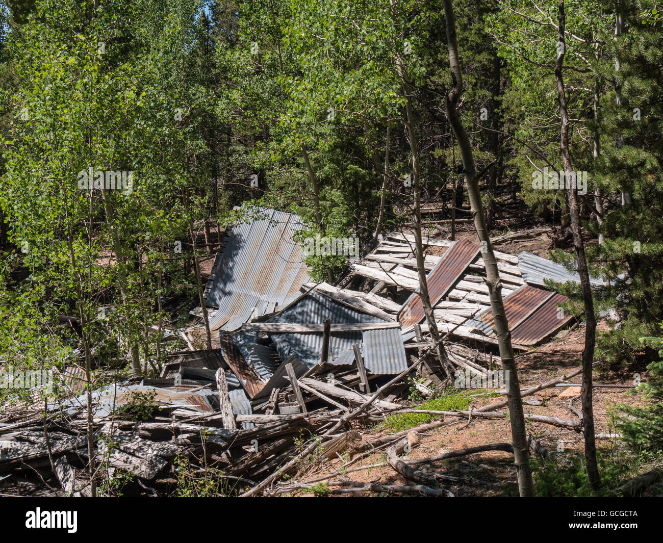 Vestiges de l'usine, ancien moulin, Staunton Site State Park, le pin, le Colorado. Banque D'Images