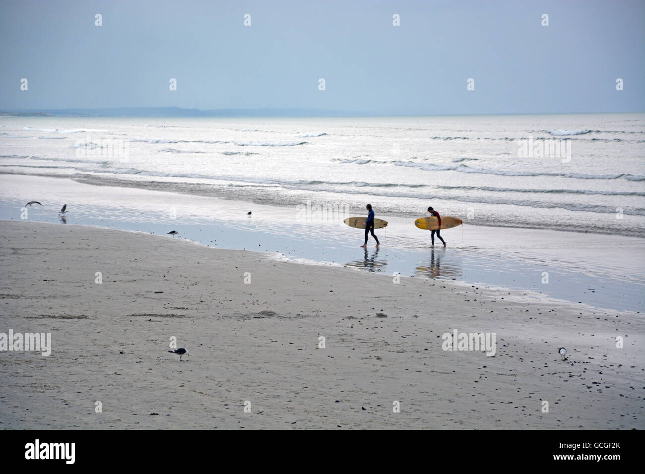 Les surfeurs lors d'une longue étendue de Muizenberg Beach sur la False Bay, Cape Town Afrique du Sud Banque D'Images