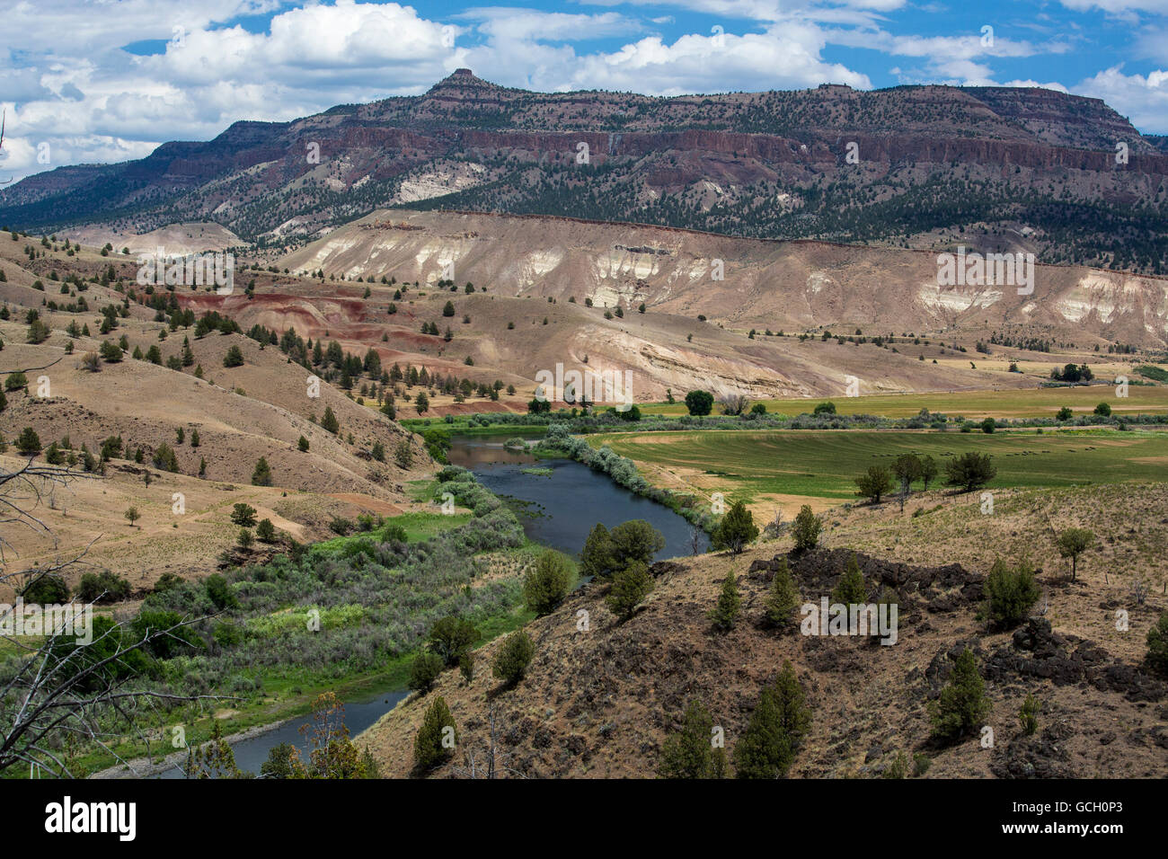 Le John Day Wild and Scenic River, près du cours supérieur de la Strawberry Mountain Range dans l'Oregon. Le fleuve est le plus long cours d'eau libre sans barrages dans l'état et le bassin hydrographique prend en charge l'une des plus grandes populations restantes de saumon quinnat sauvage et truite arc-en-ciel dans le bassin du Columbia. Banque D'Images