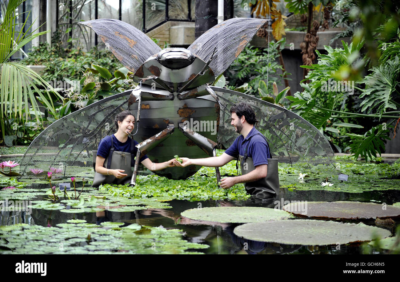 Les membres du personnel Niamai Hedemark (à droite) et Amy Morden travaillent autour d'une des sculptures d'insectes géants du Conservatoire Princess of Wales de Kew Garden, dans les jardins botaniques royaux de Kew, Londres. Banque D'Images