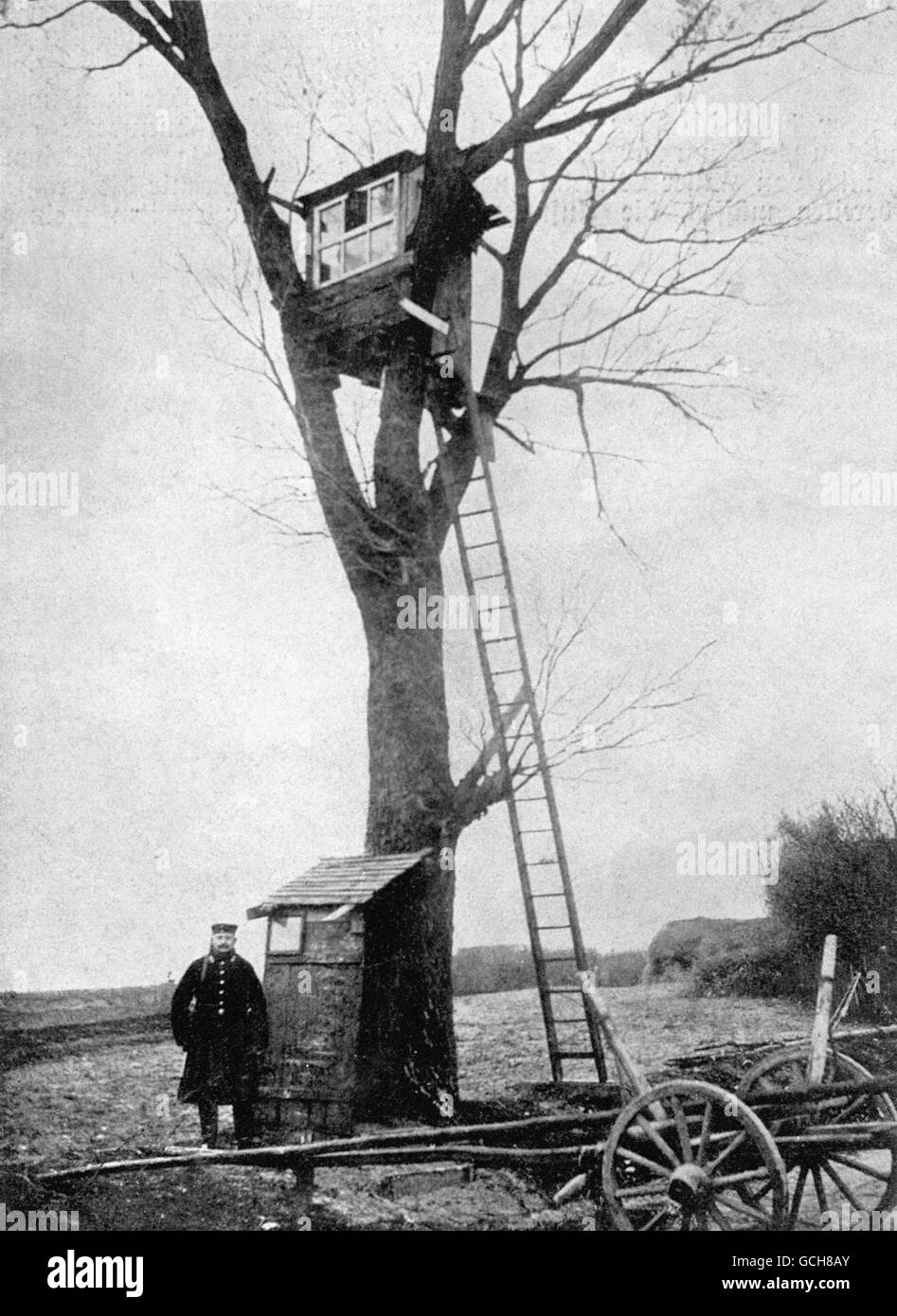 Un poste d'observation de l'armée allemande dans un arbre. Banque D'Images