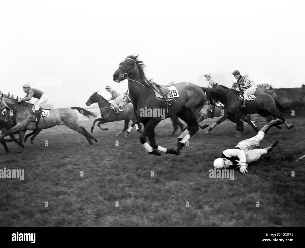 Les courses de chevaux - Gojomo Novices Course de Haies - Newbury Banque D'Images