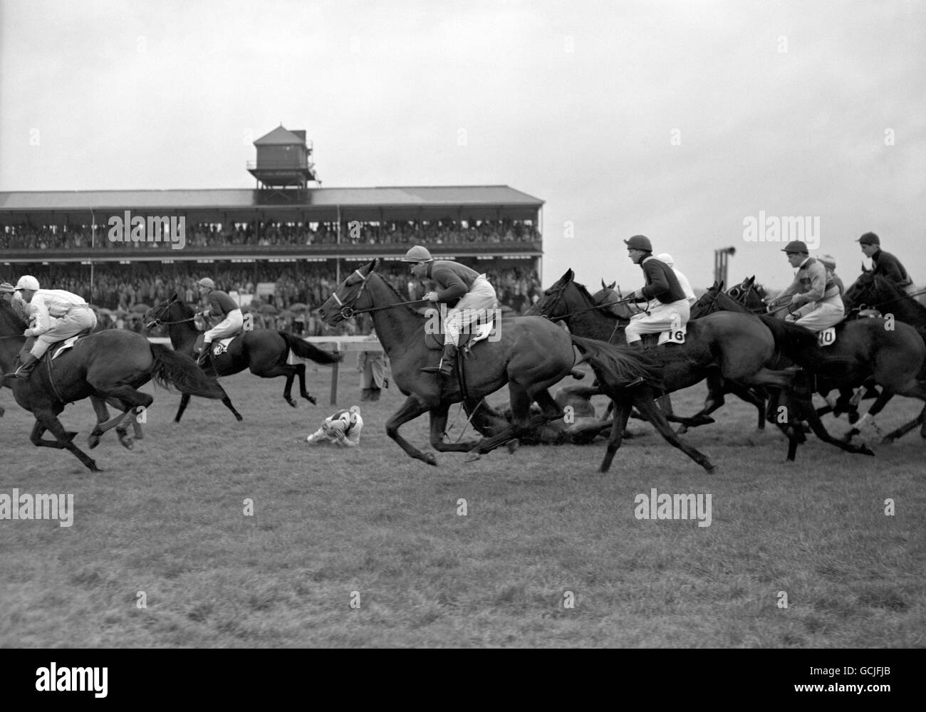 Les courses de chevaux - Le Gojomo Novices Course de Haies - Newbury Banque D'Images