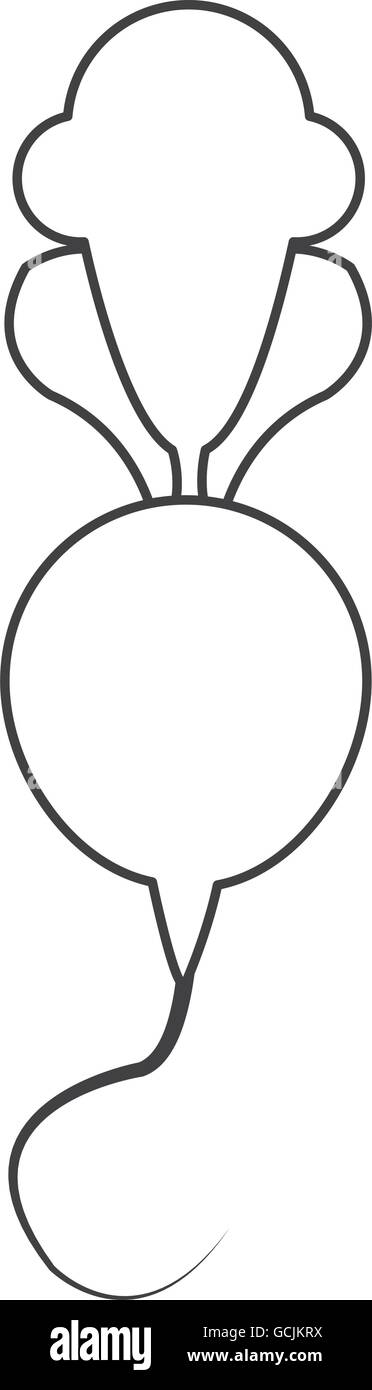 Ensemble de l'icône de radis Illustration de Vecteur