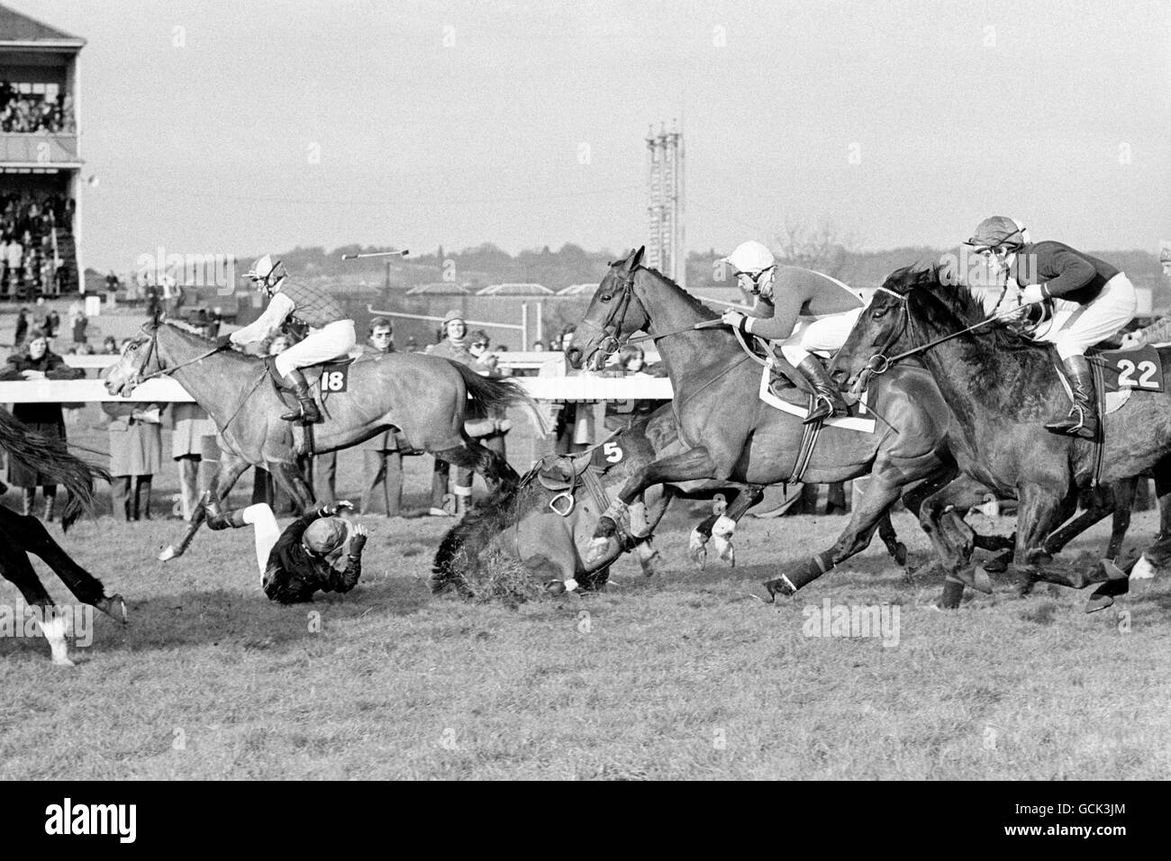 Les courses de chevaux - Schweppes Trophée d'or Handicap Hurdle - Newbury Banque D'Images