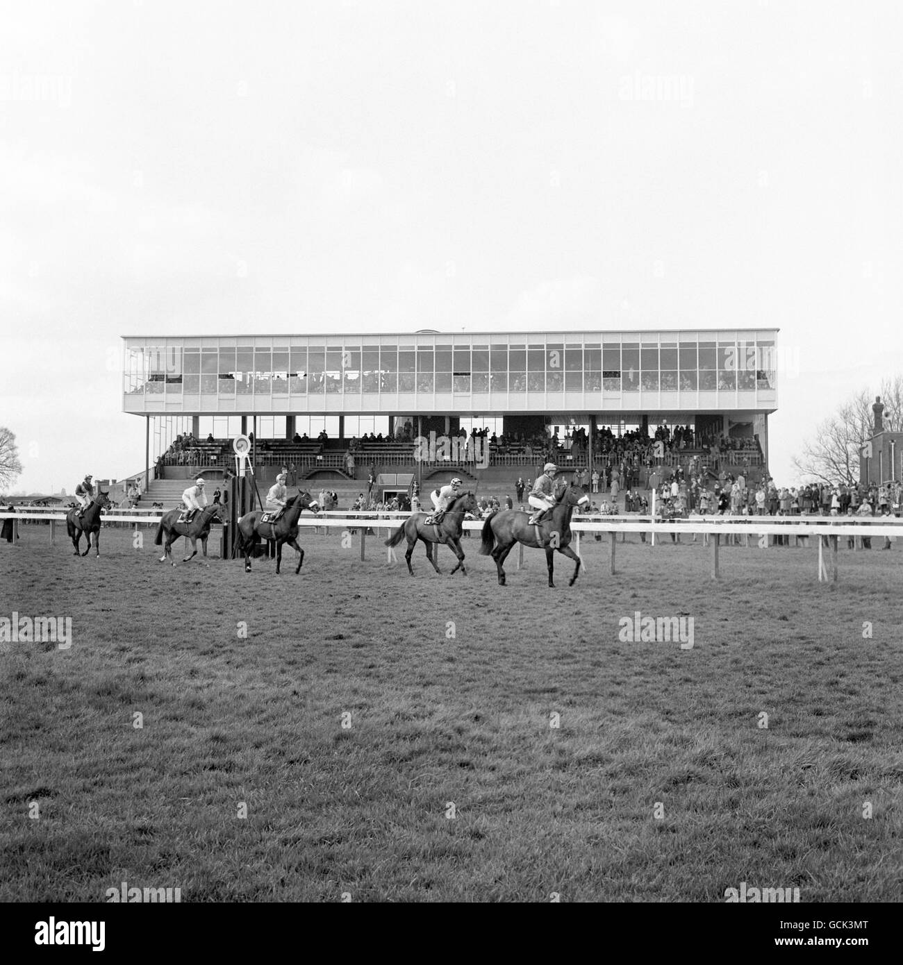 Courses hippiques - Hippodrome de Newbury.Les chevaux défilent devant les stands de Newbury Banque D'Images