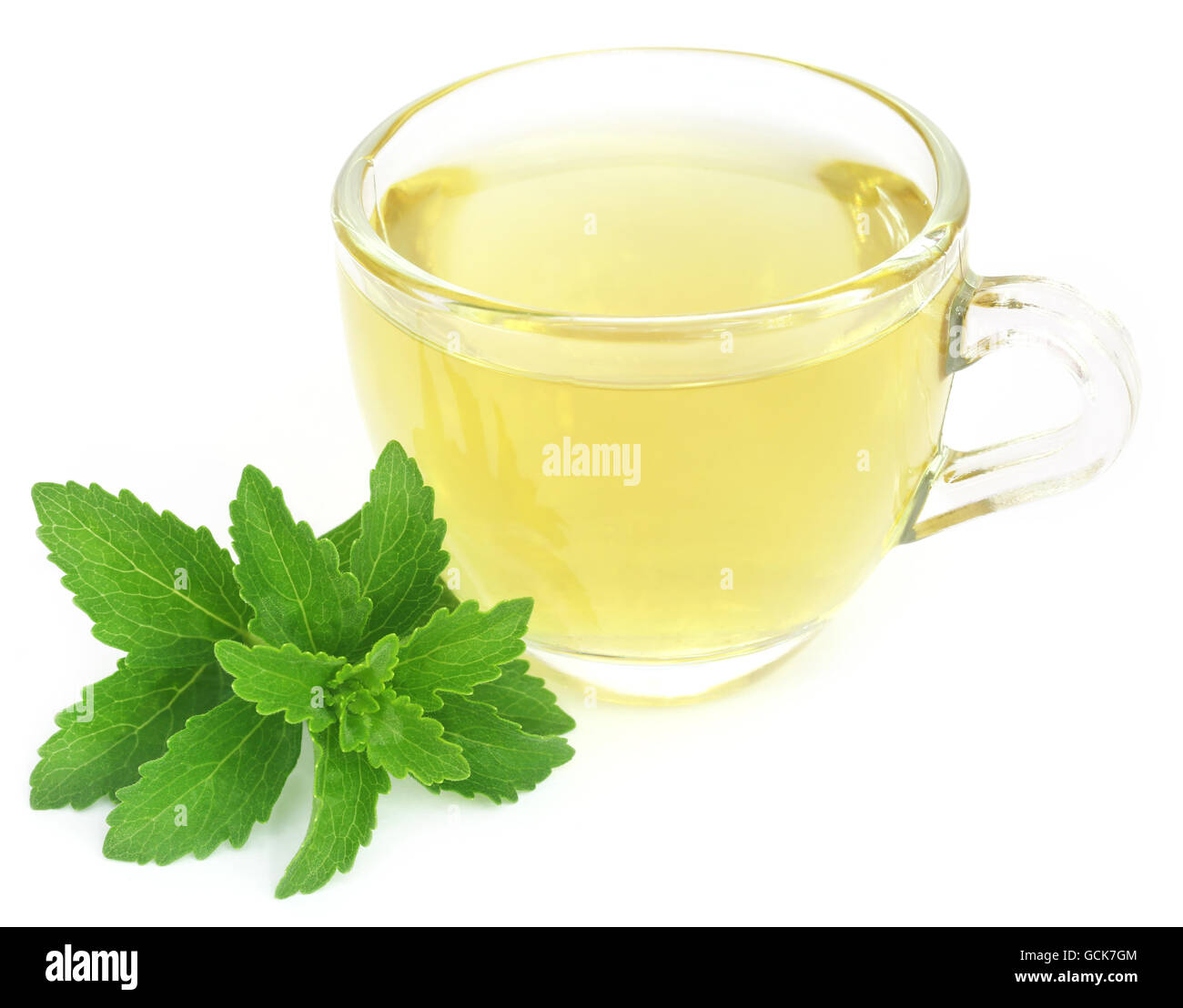 Tisane dans une tasse avec des feuilles de stevia sur fond blanc Banque D'Images