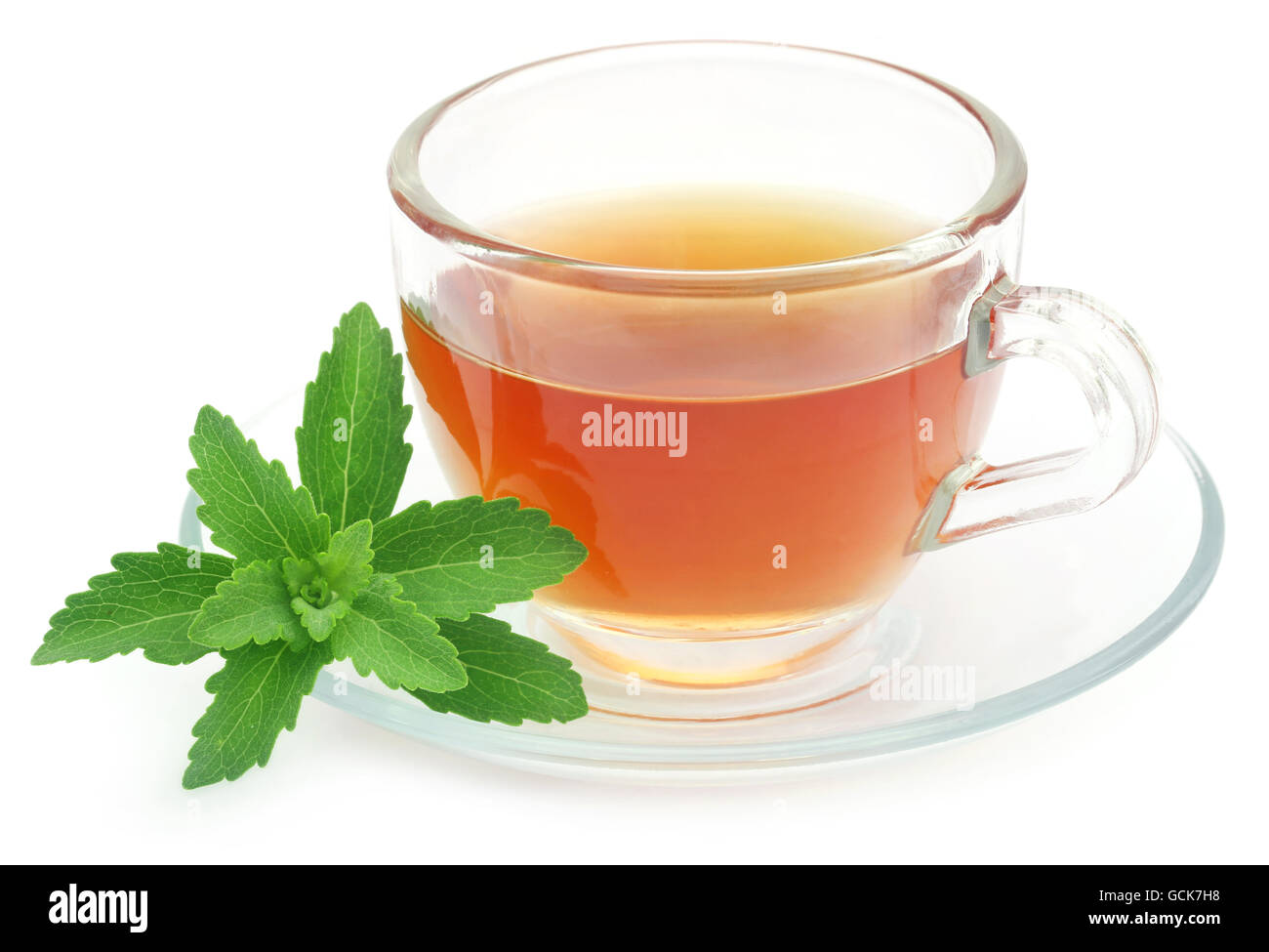 Tisane dans une tasse avec des feuilles de stevia sur fond blanc Banque D'Images