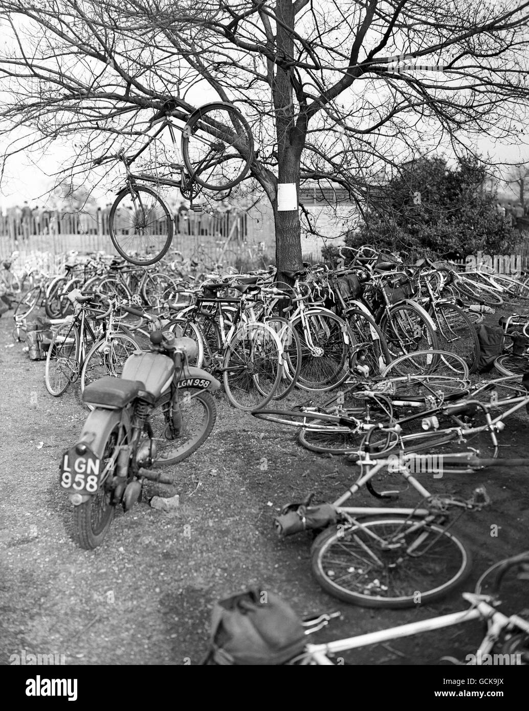 Pour qu'ils puissent trouver leur vélo en toute simplicité parmi tant d'autres, ils ont suspendu le cycle à une branche d'arbres à la réunion annuelle du Vendredi Saint de l'Union cycliste des comtés du Sud à Herne Hill, Londres. Banque D'Images