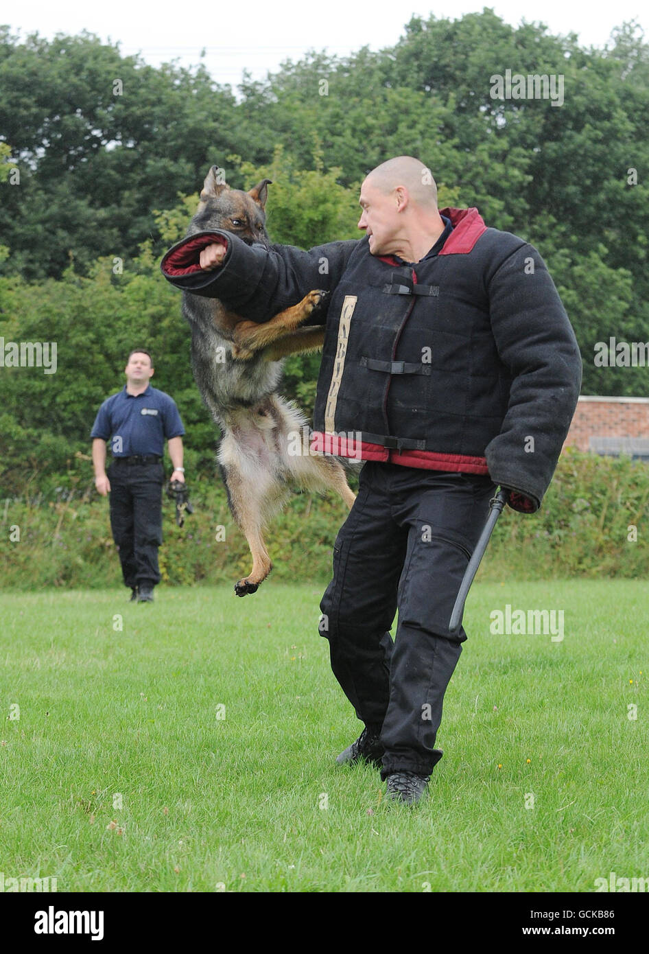 Les maîtres-chiens de la police du West Yorkshire PC Mark Muscarella (à gauche) et PC John Leak (qui se pose comme criminel) avec Hobo de 22 mois font une démonstration des compétences d'un chien de police entièrement formé à leur base à Wakefield. Banque D'Images