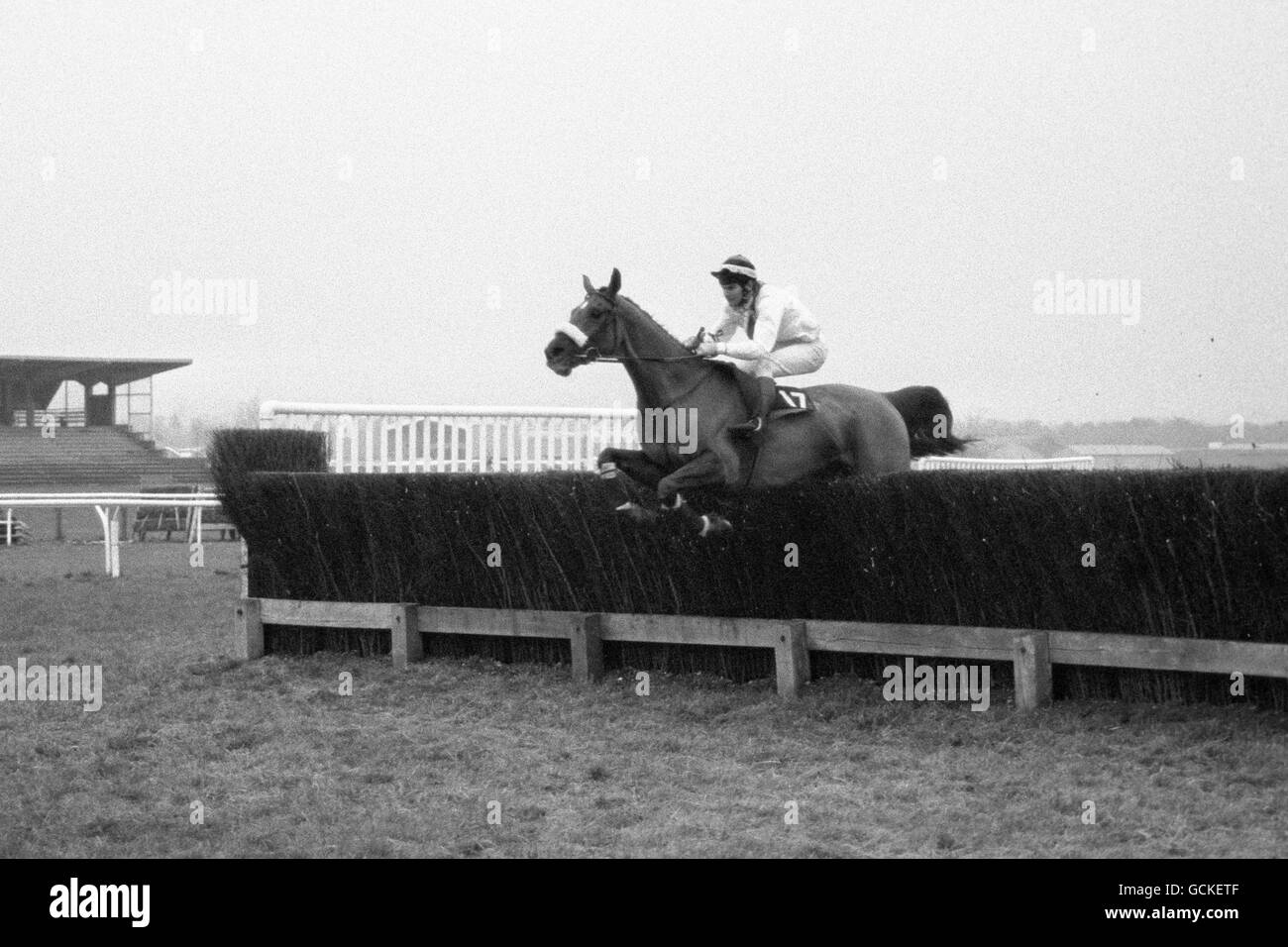 Les courses de chevaux - cognac Hennessy Gold Cup - Newbury Banque D'Images