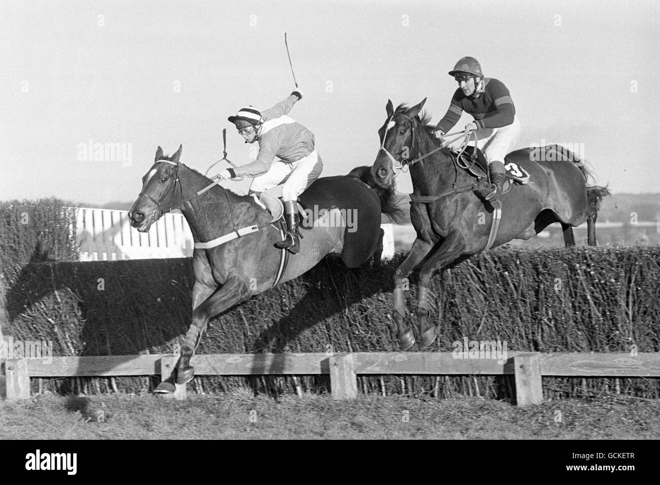 Les courses de chevaux - cognac Hennessy Gold Cup - Newbury Banque D'Images