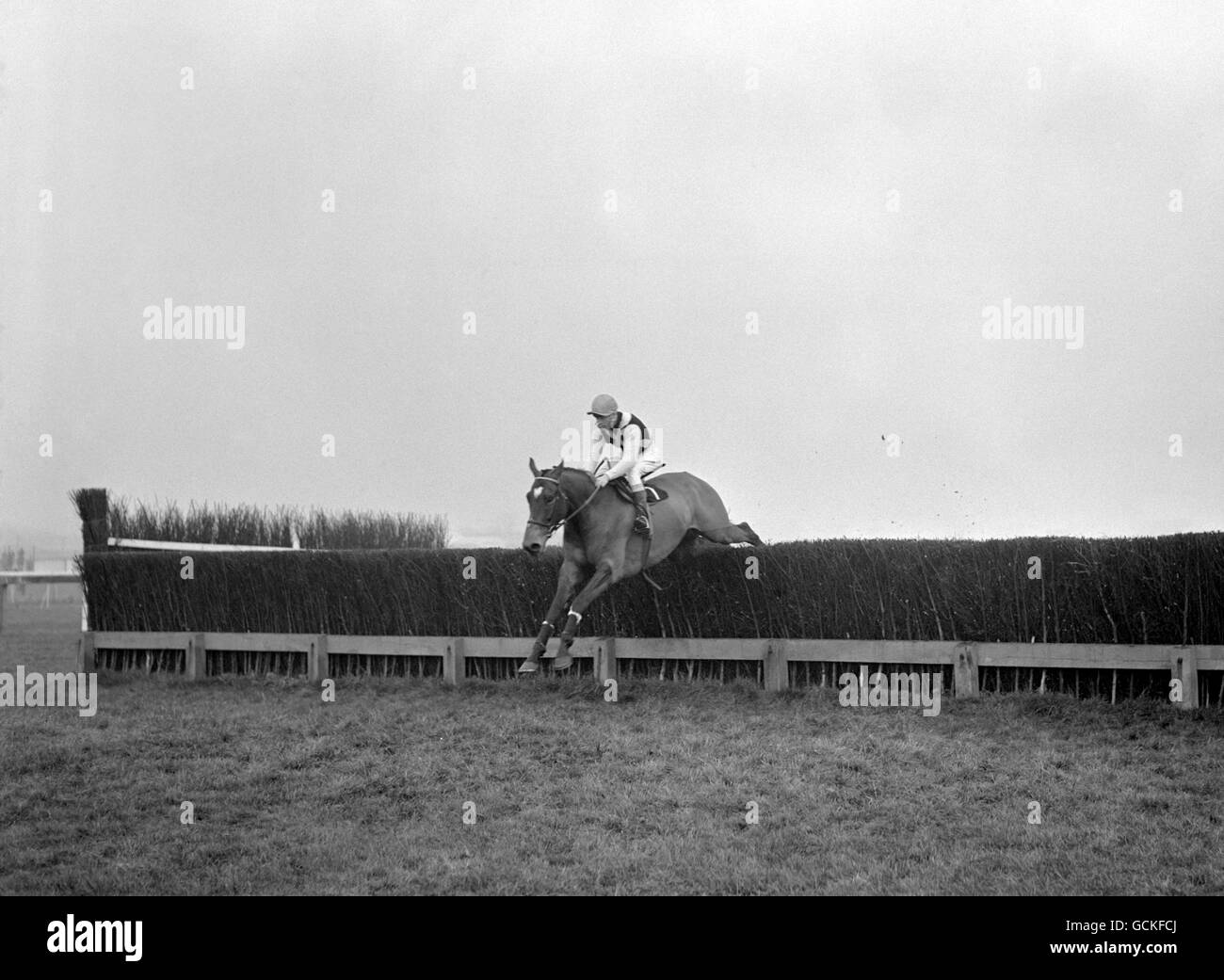 Mill House, monté par Willie Robinson, se dirige vers la victoire lors de la coupe d'or Hennessy Cognac à Newbury Banque D'Images