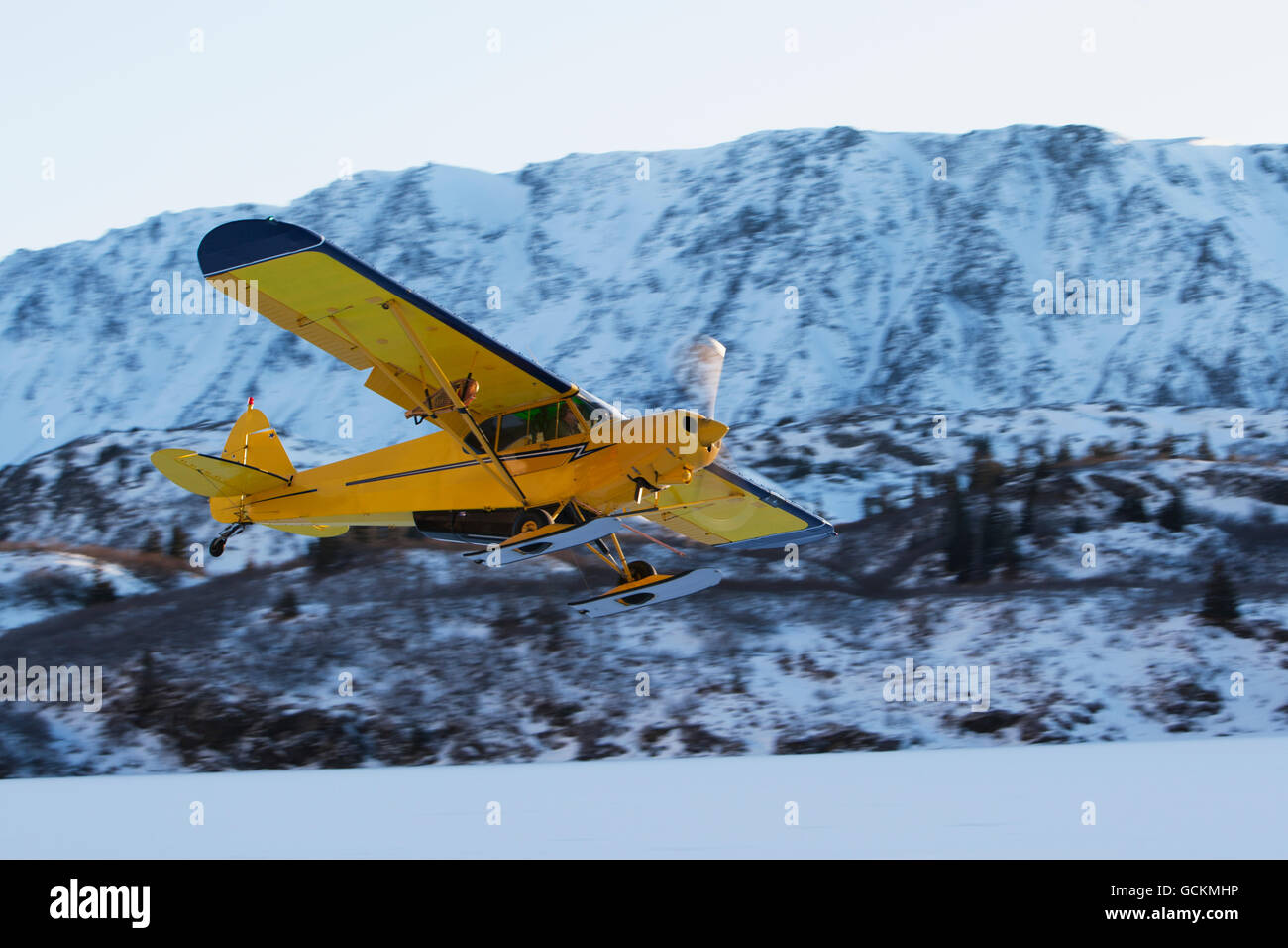 Piper PA-18 Super Cub en skis prend son envol avec la montagnes Kenai en arrière-plan, Southcentral Alaska. Banque D'Images