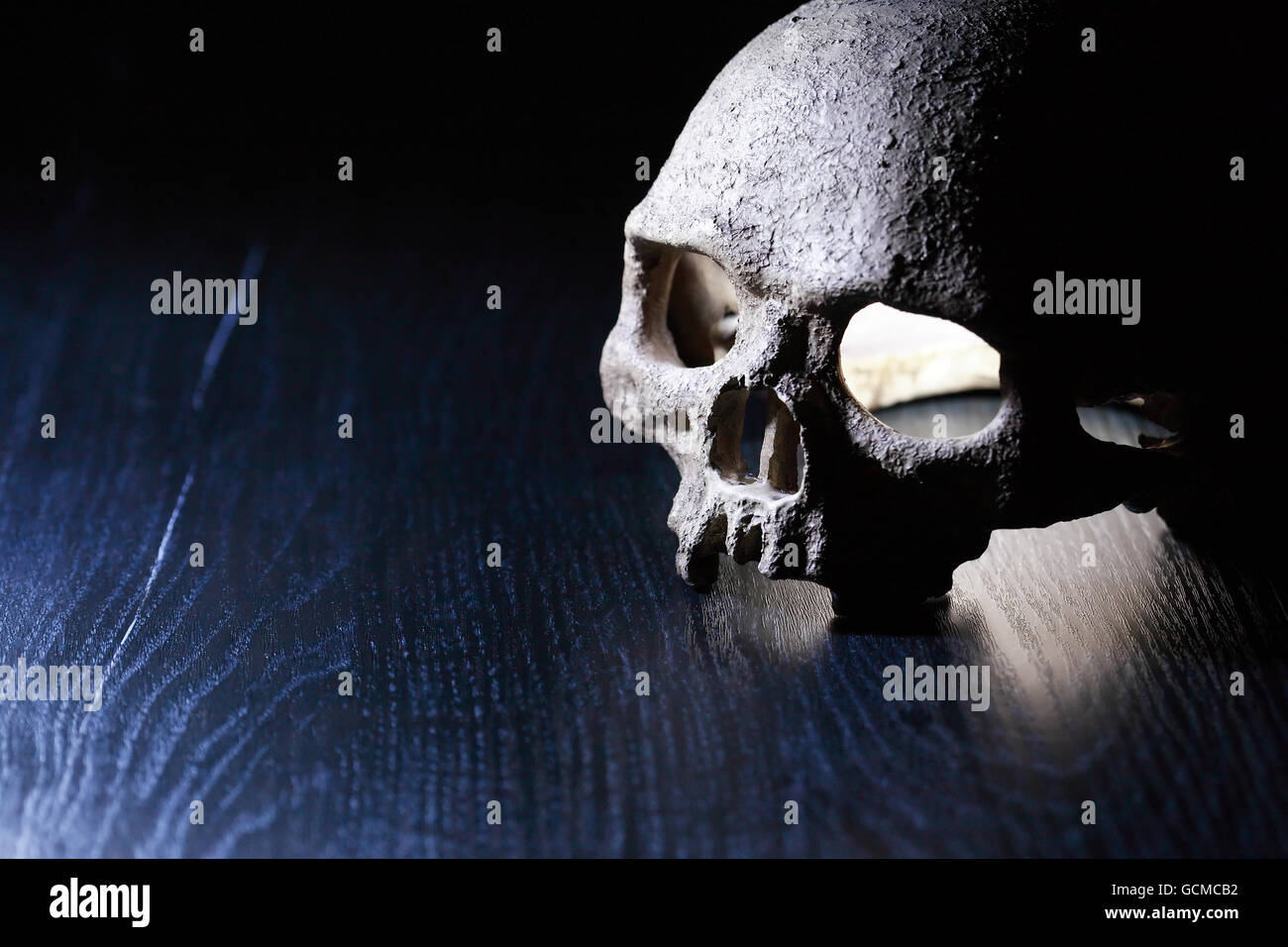 Concept de la mort. Un crâne humain sur fond sombre avec de l'espace libre pour le texte Banque D'Images