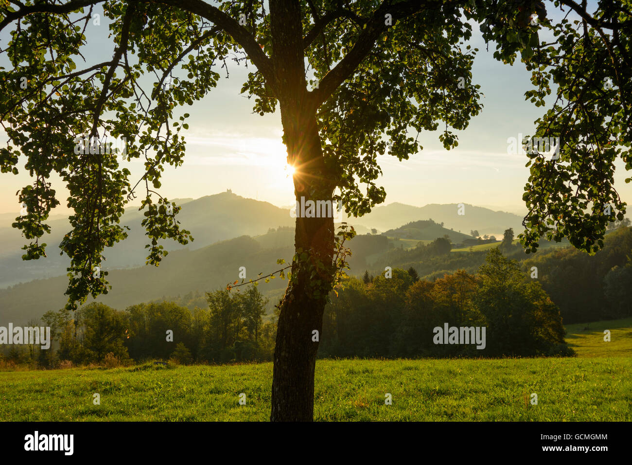 Sonntagberg poiriers, église sanctuaire mont Sonntagberg, sunrise Autriche Niederösterreich, Autriche Mostviertel Banque D'Images