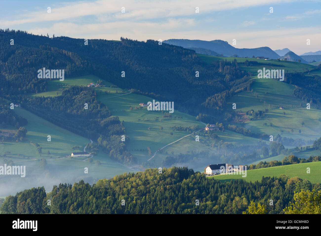 Waidhofen an der Ybbs morning mist, yard carré maisons, arbres fruitiers Autriche Niederösterreich, Autriche Mostviertel Banque D'Images
