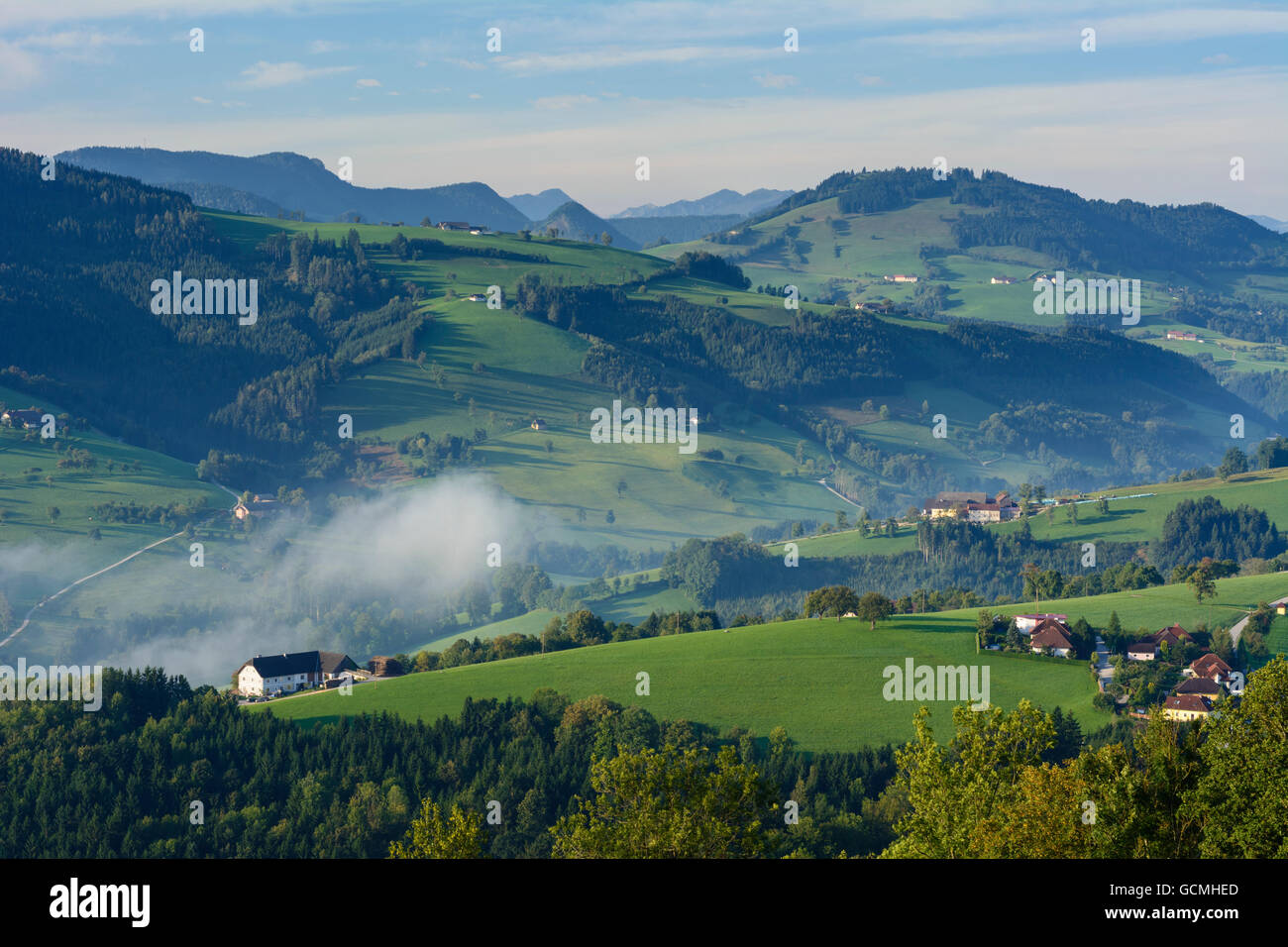 Waidhofen an der Ybbs morning mist, yard carré maisons, arbres fruitiers Autriche Niederösterreich, Autriche Mostviertel Banque D'Images