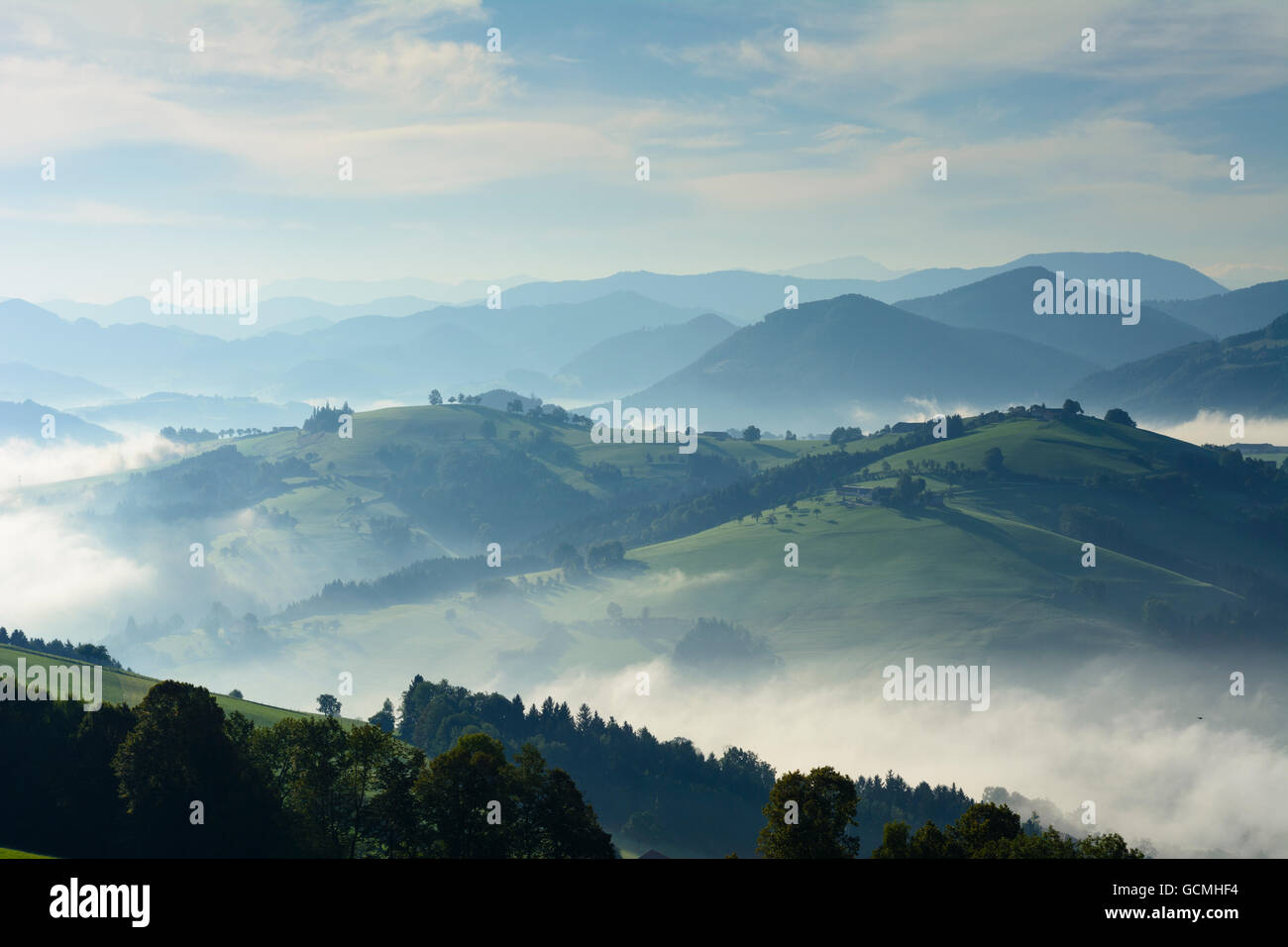 Waidhofen an der Ybbs morning mist, yard carré maisons, arbres fruitiers, sunrise Autriche Niederösterreich, Autriche Mostviertel Banque D'Images