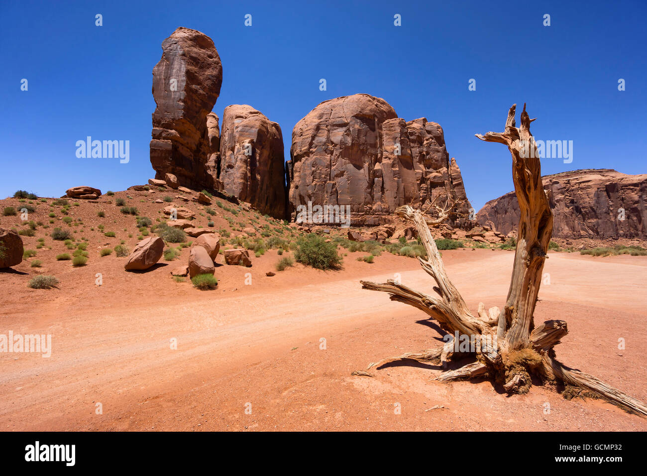 Arbre mort et le pouce rock formation à Monument Valley, USA Banque D'Images