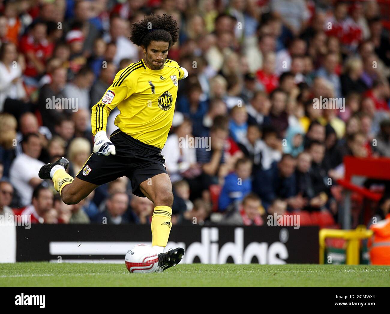 Football - championnat de la npower football League - Bristol City v Millwall - Ashton Gate. David James, Bristol City Banque D'Images