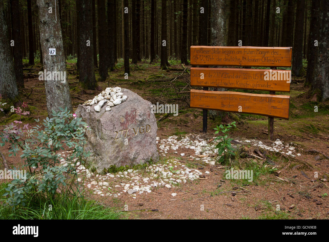 L'Europe, l'Allemagne, en Rhénanie du Nord-Westphalie, pierre et la plaque de la Bataille des Ardennes dans une forêt proche d'Hellenthal-Holler Banque D'Images