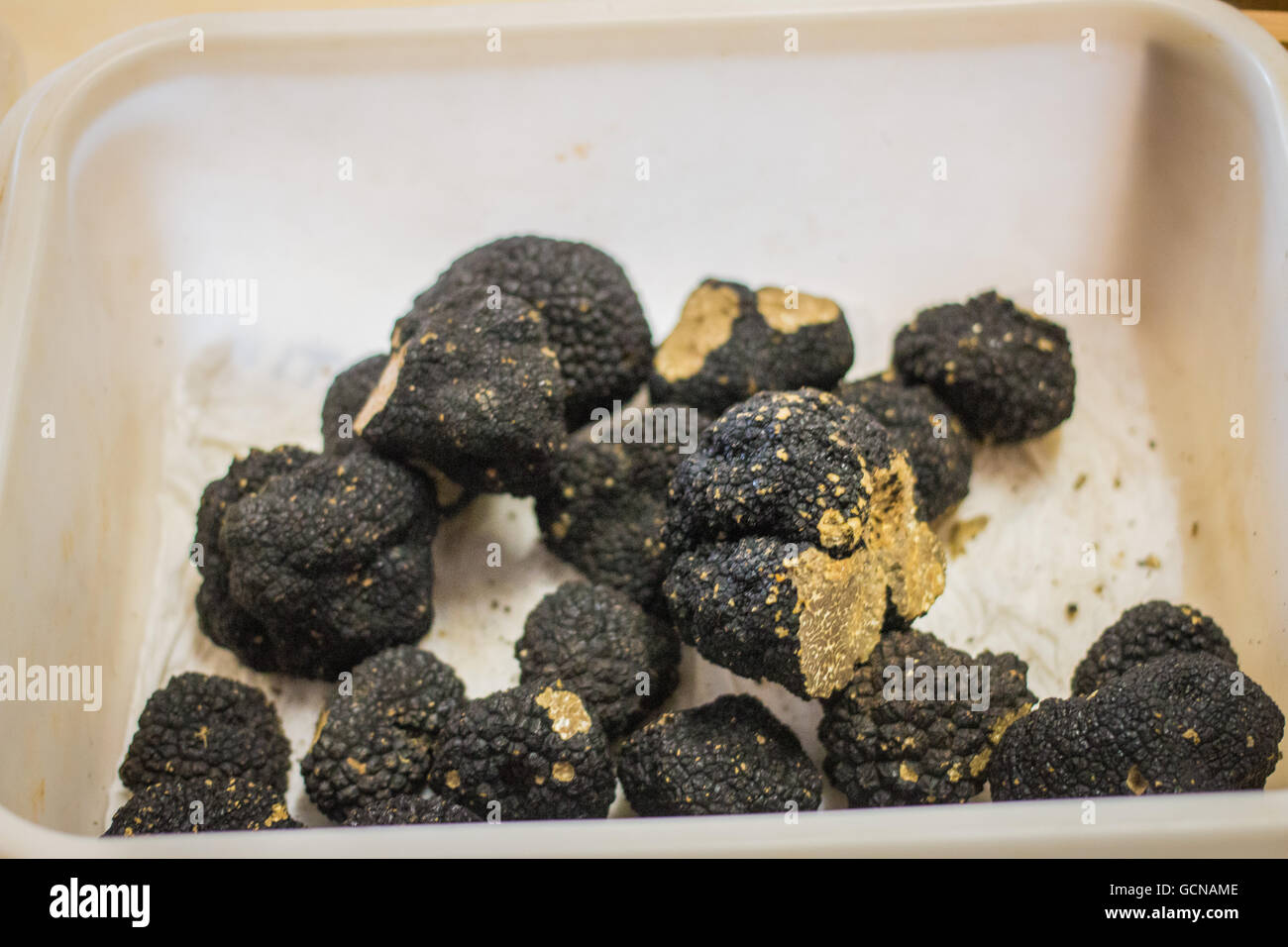 Plusieurs truffes noires dans un récipient en plastique Banque D'Images