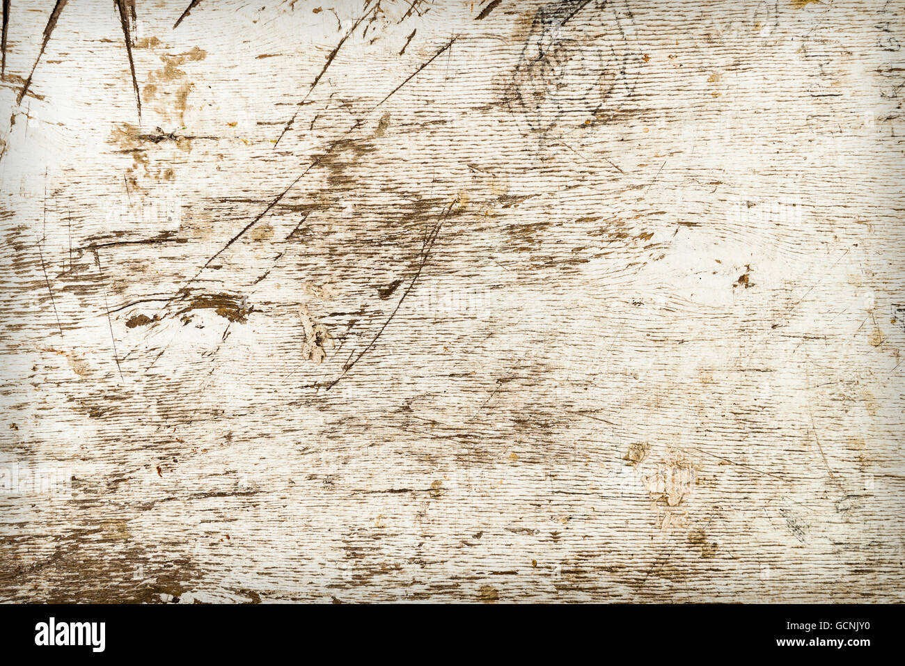 La texture du bois blanc Banque D'Images