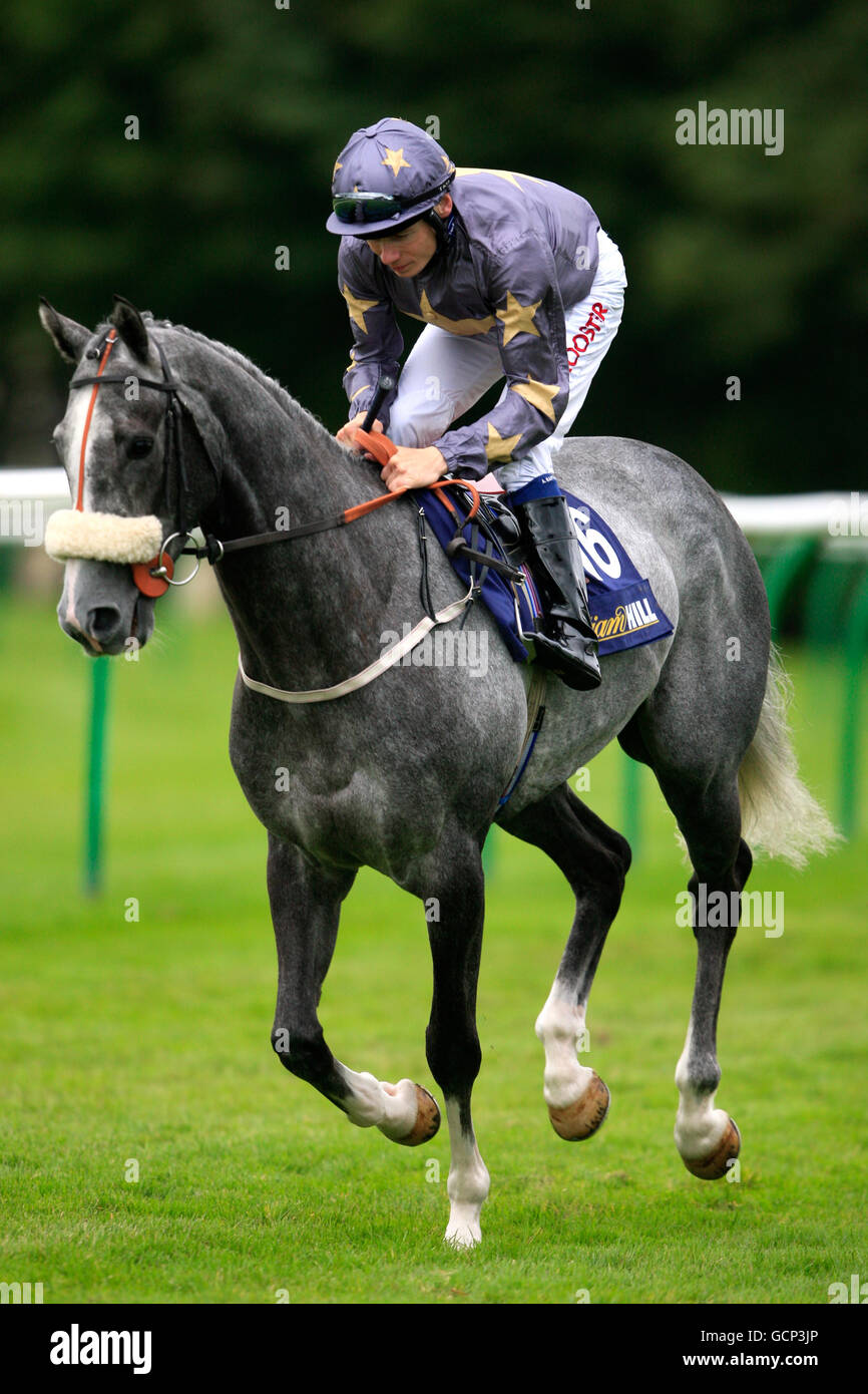 Courses hippiques - William Hill Gold Cup Festival - troisième jour - Ayr Racecourse.Jockey Jamie Spencer va poster pour la coupe d'or William Hill Ayr sur la Pyramide parisienne Banque D'Images Courses hippiques - William Hill Gold Cup Festival - troisième jour - Ayr Racecourse.Jockey Jamie Spencer va poster pour la coupe d'or William Hill Ayr sur la Pyramide parisienne Banque D'Images