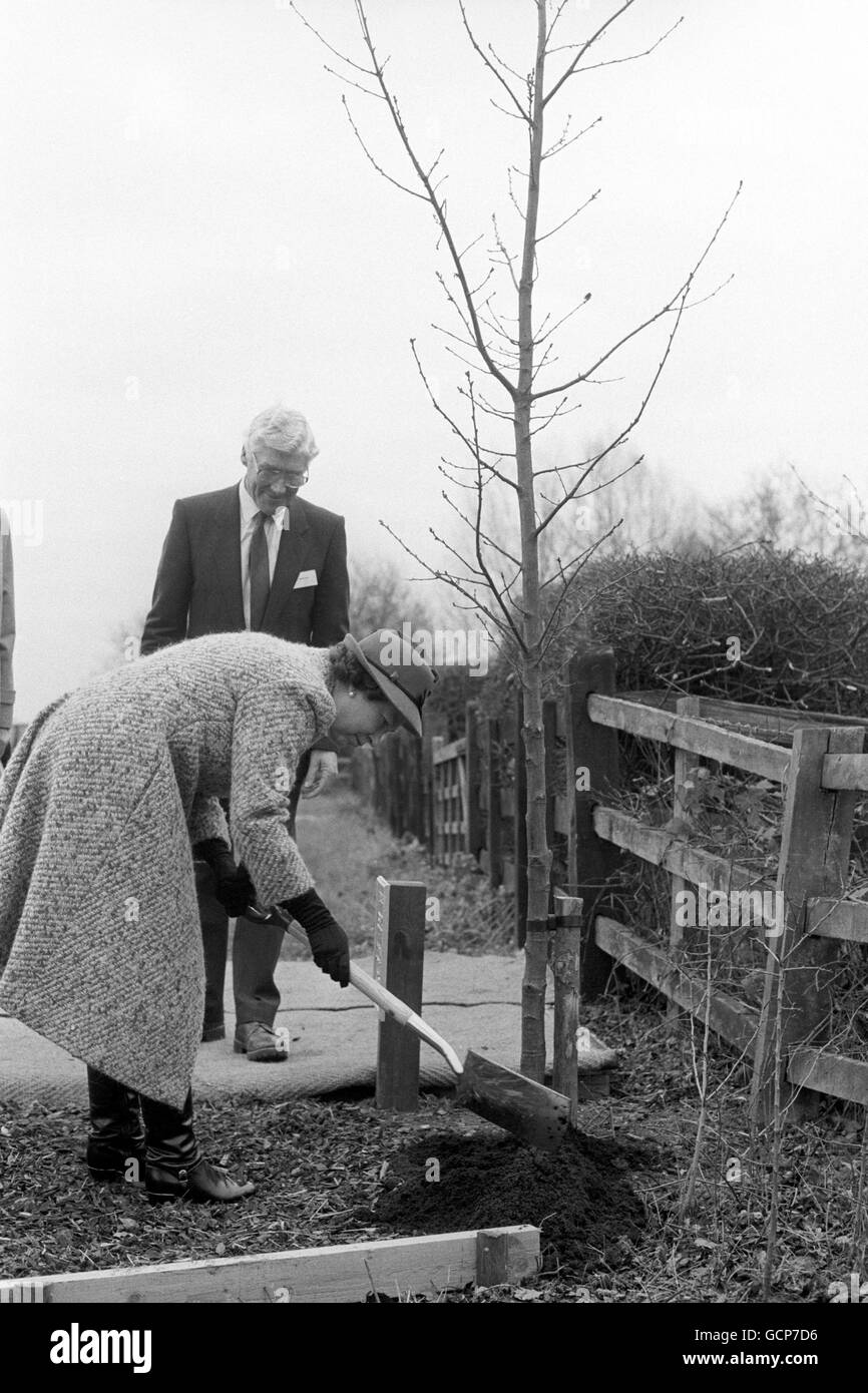 La reine Elizabeth II plante un chêne pour assurer un arrière-plan boisé à la célébration du millénaire de la Magna Carta en 228 ans. Banque D'Images