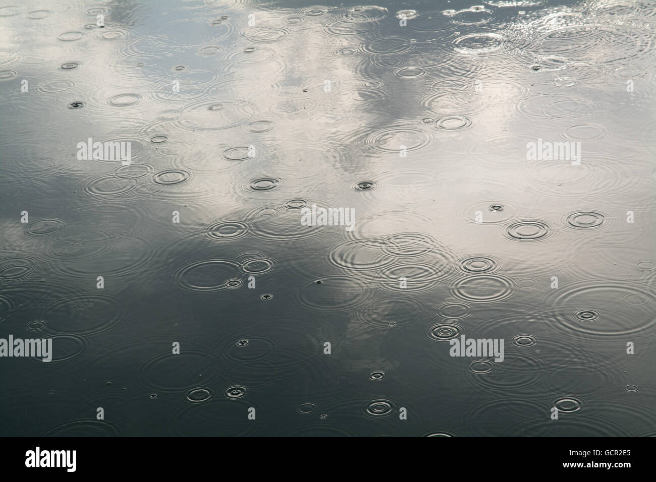 Des gouttelettes de pluie frappant une mer lisse Banque D'Images