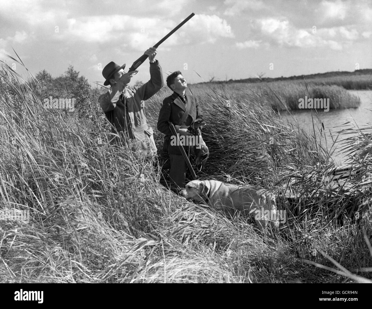 Edward Marsh et son nouveau-né « Bounce » montrent à son fils Anthony comment tirer des canards sauvages. Banque D'Images