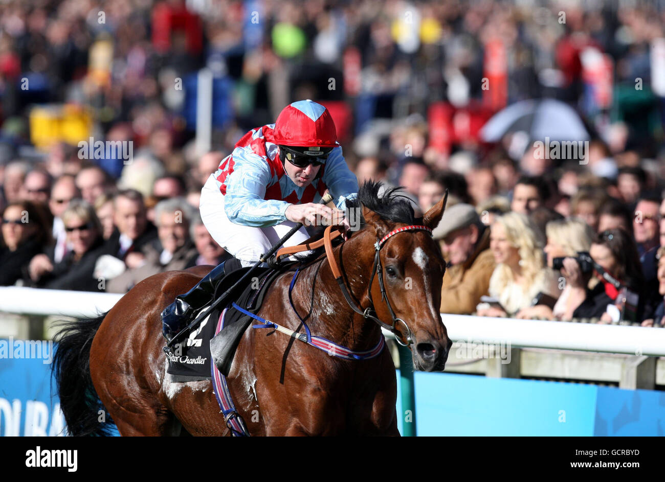 Red Jazz, monté par Robert Winston sur le chemin de la victoire dans les enjeux du défi Victor Chandler pendant le week-end d'automne à l'hippodrome de Newmarket. Banque D'Images