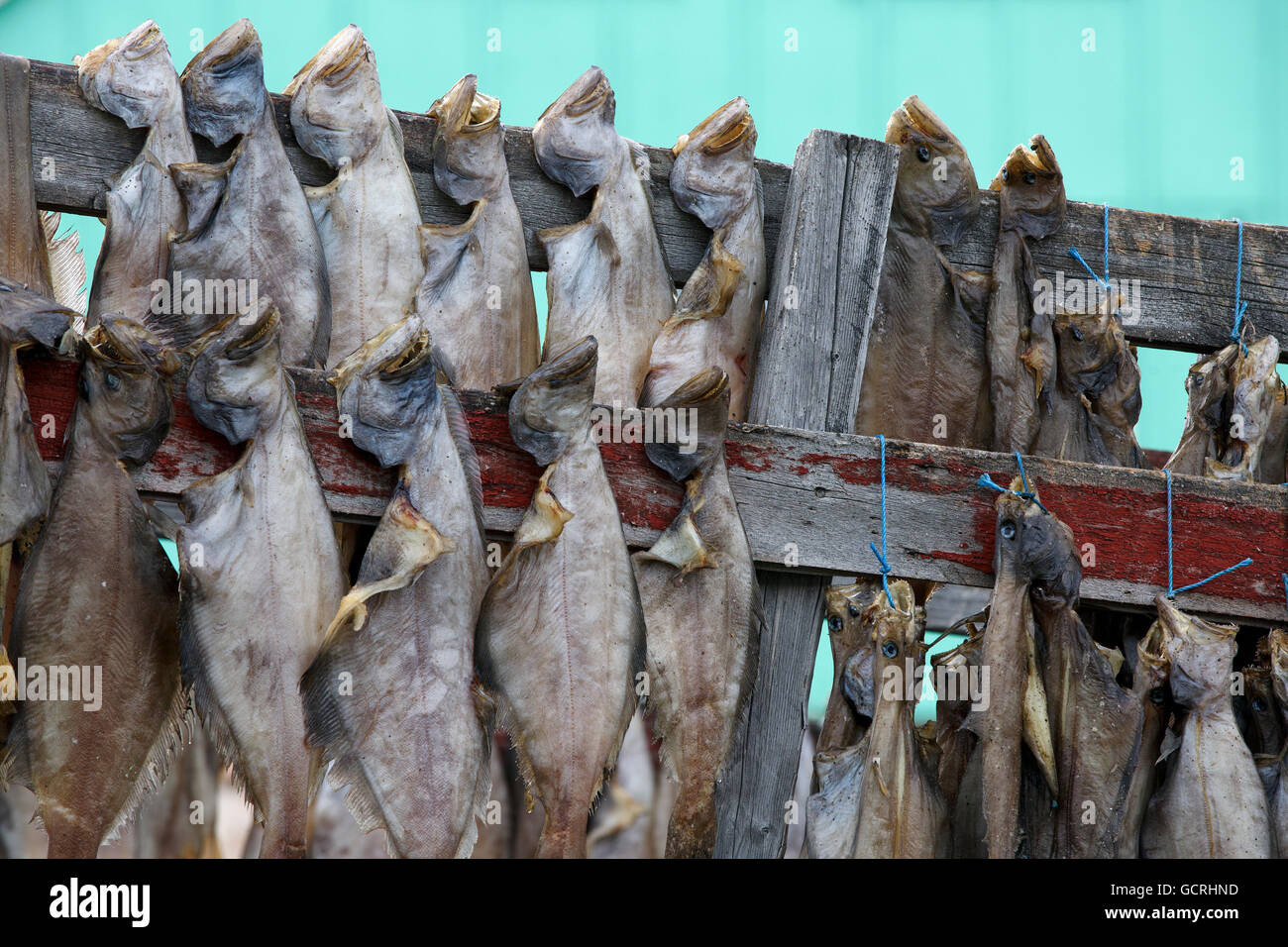 Fish drying rack Banque de photographies et d'images à haute résolution -  Alamy