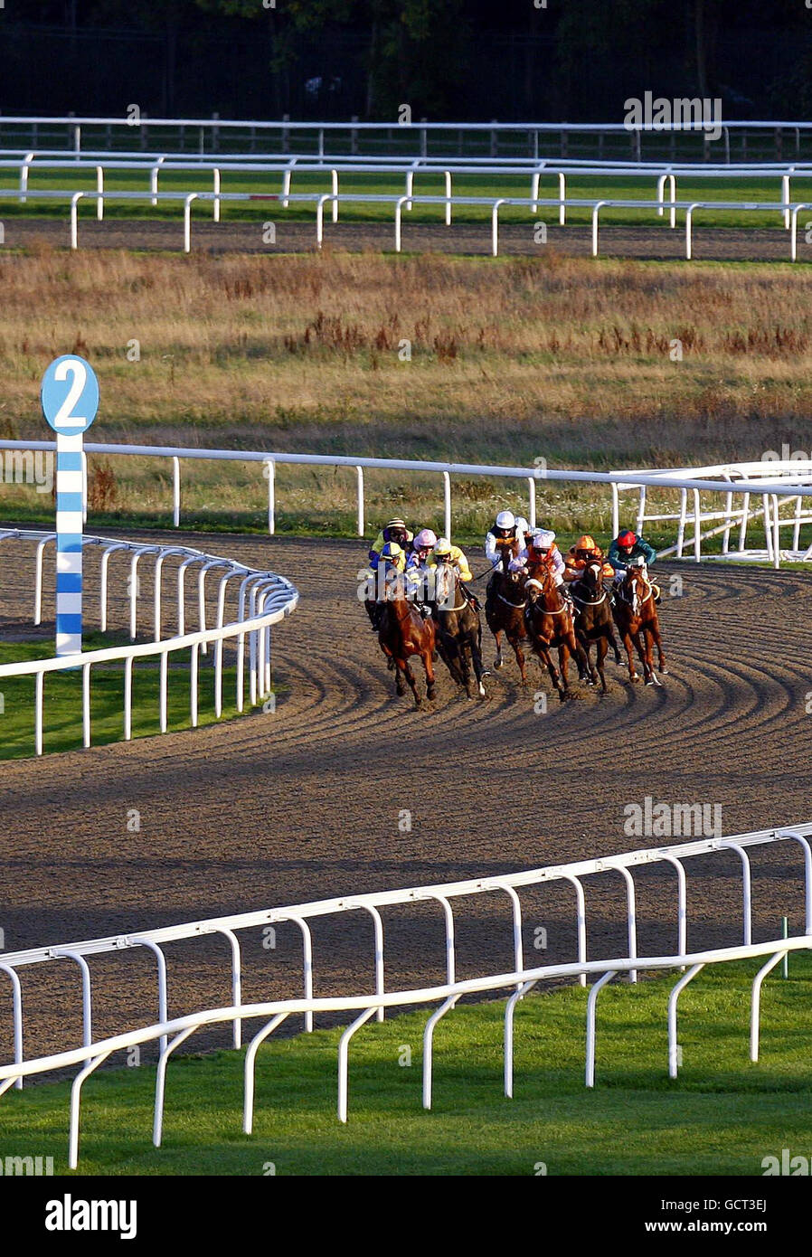 Coureurs et cavaliers pour le Fonds européen d'obtenteur Maiden Stakes au champ de courses de Kempton. Banque D'Images