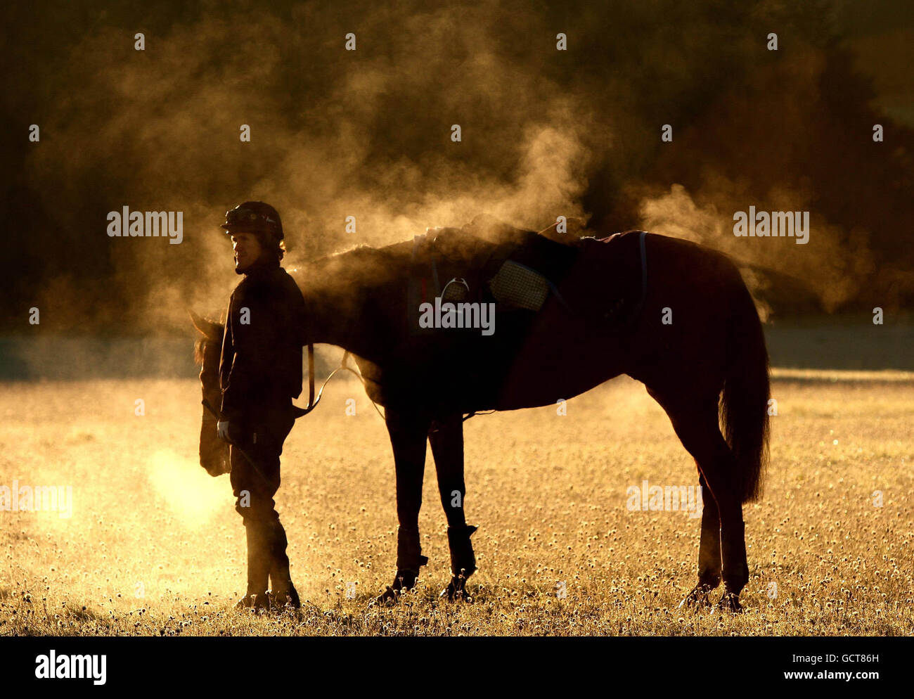 Jockey Tony McCoy avec Barbers Shop sur les gallops à Severn Barrow, pendant une journée de médias de course Unis à Oaksey House, Lambourn. Banque D'Images