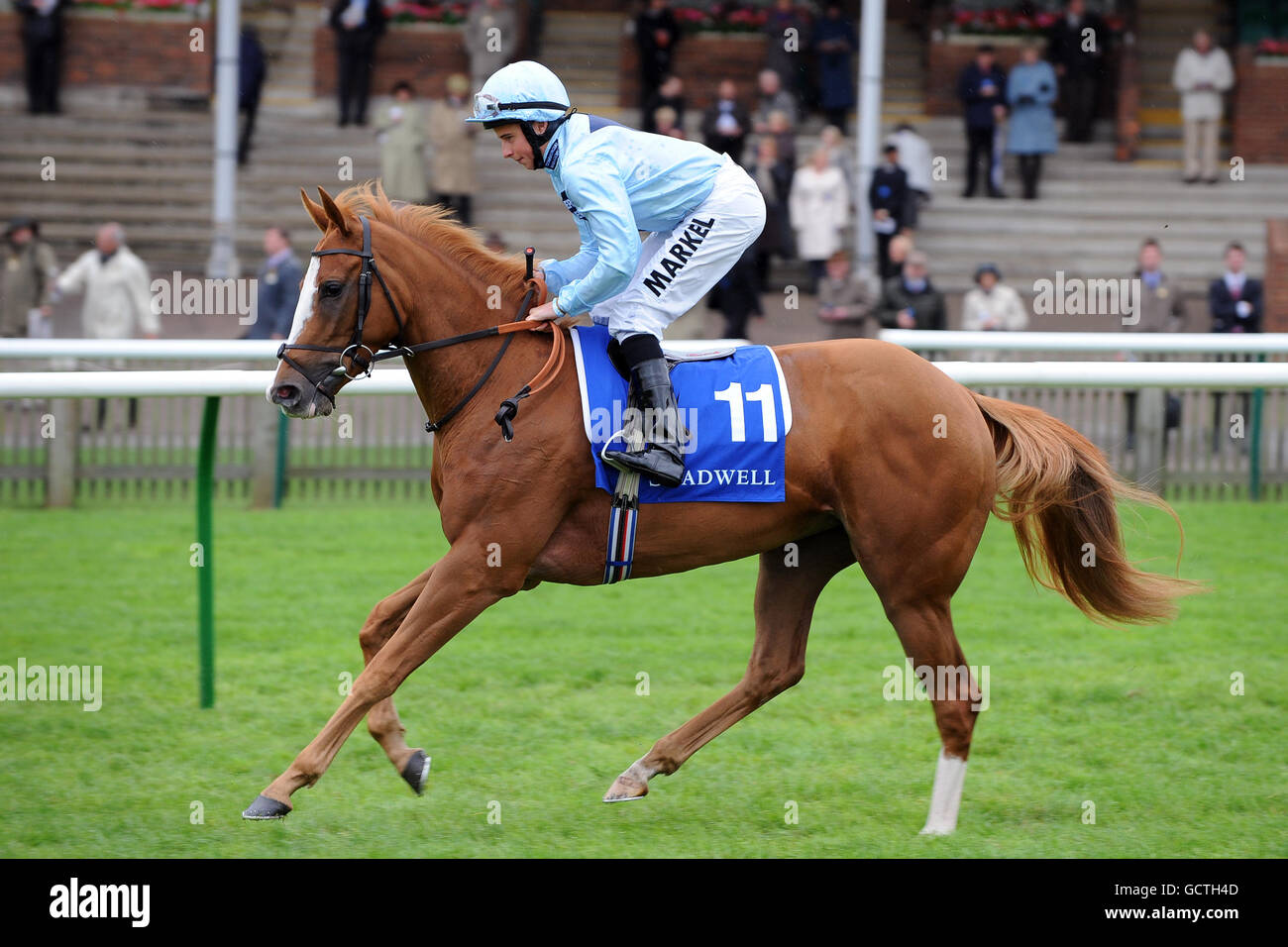 Courses hippiques - Réunion Cambridgeshire - deuxième jour - Hippodrome de Newmarket.Monté dans le temps par William Buick va poster Banque D'Images