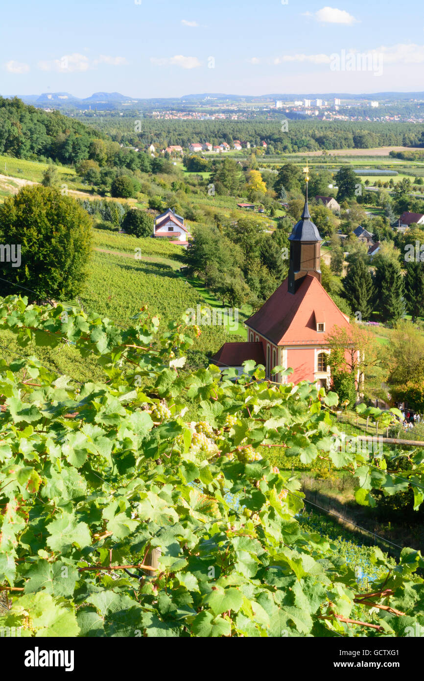 Dans l'Église Vineyard de Dresde et de vignobles Pillnitz Allemagne, Saxe Banque D'Images