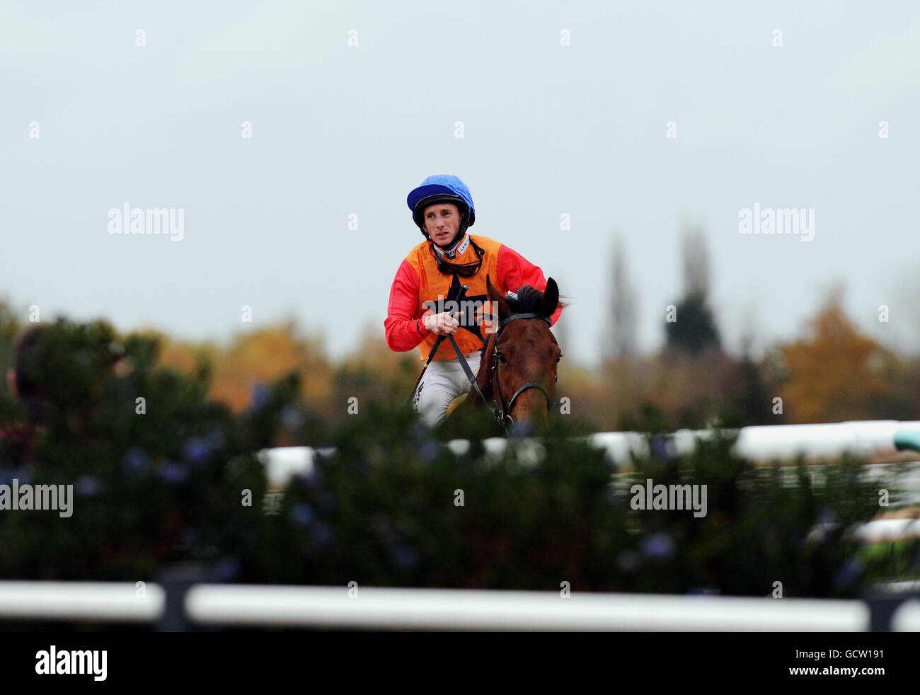 Les courses de chevaux - Southwell Racecourse Banque D'Images