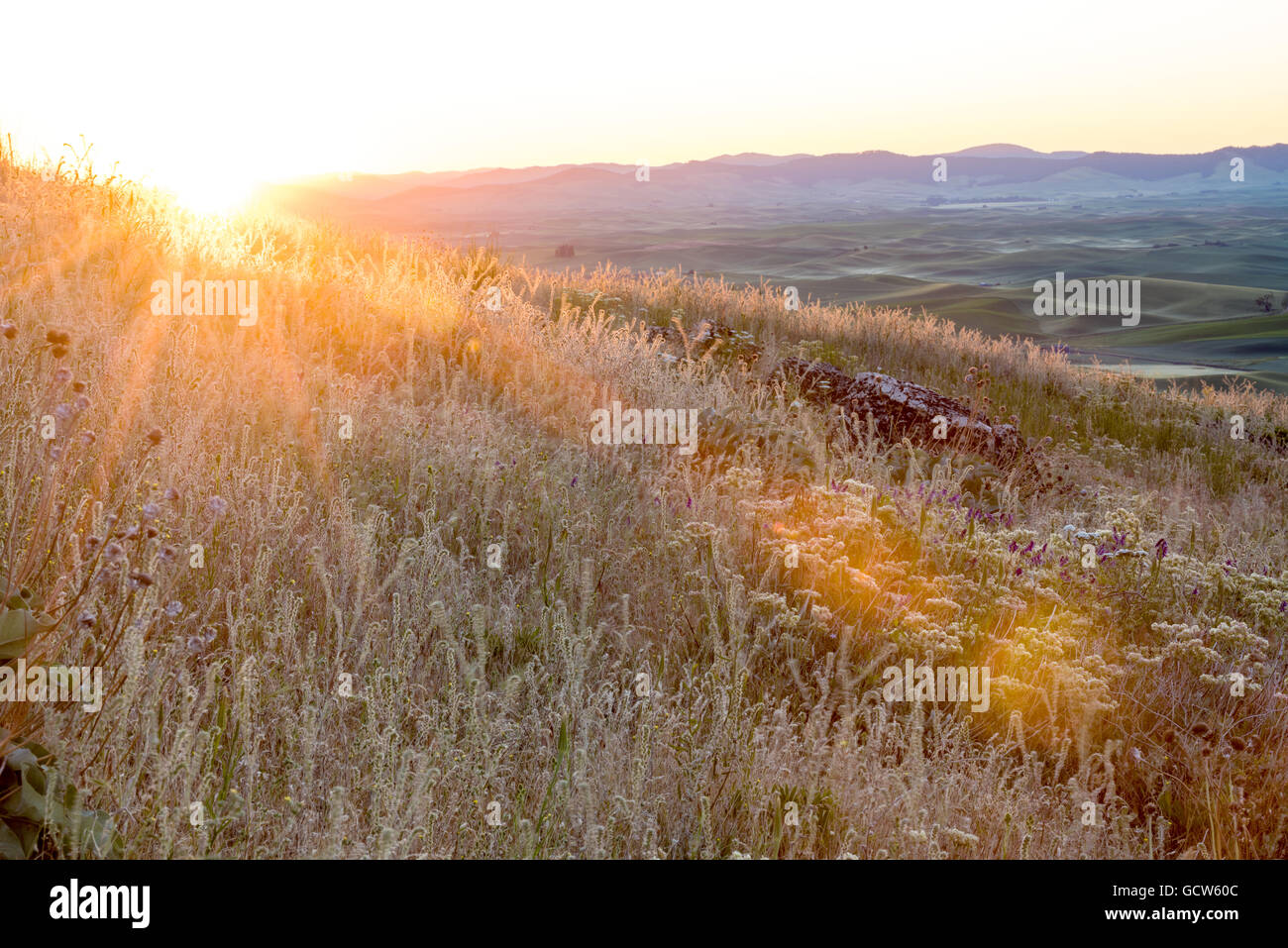 Lever du soleil sur les terres agricoles de l'Est de Washington Banque D'Images