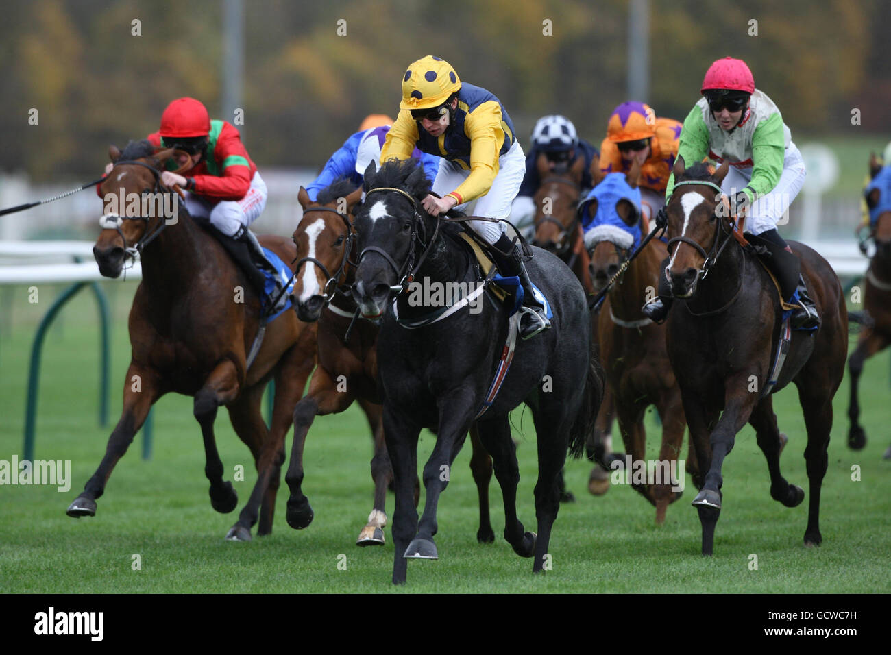 Black Annis Bower, monté par James Sullivan, remporte la pépinière Hallgarten Druitt à l'hippodrome de Nottingham. Banque D'Images