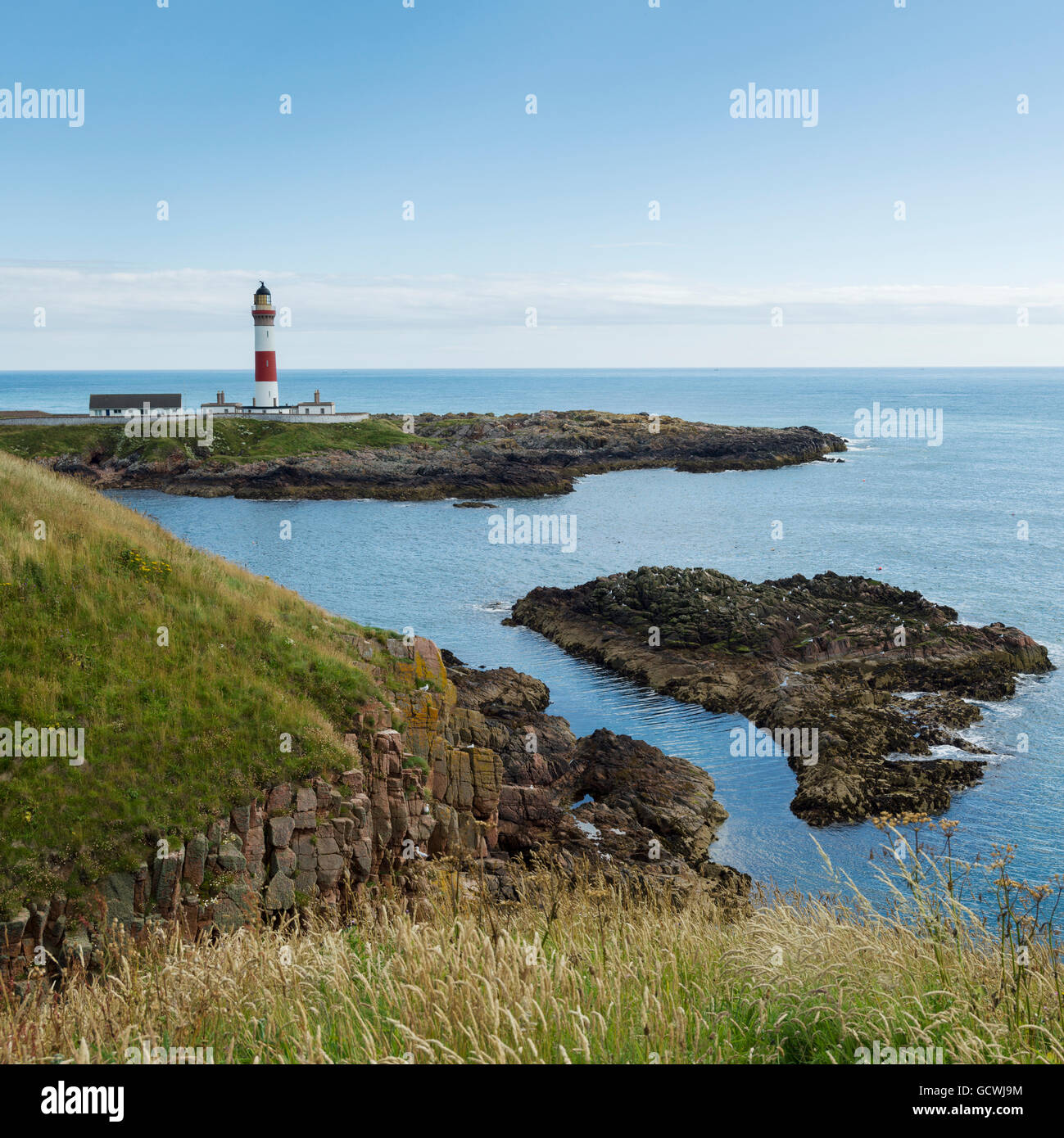 Buchan Ness Phare sur la côte de Moray Firth ; Aberdeenshire, Ecosse Banque D'Images